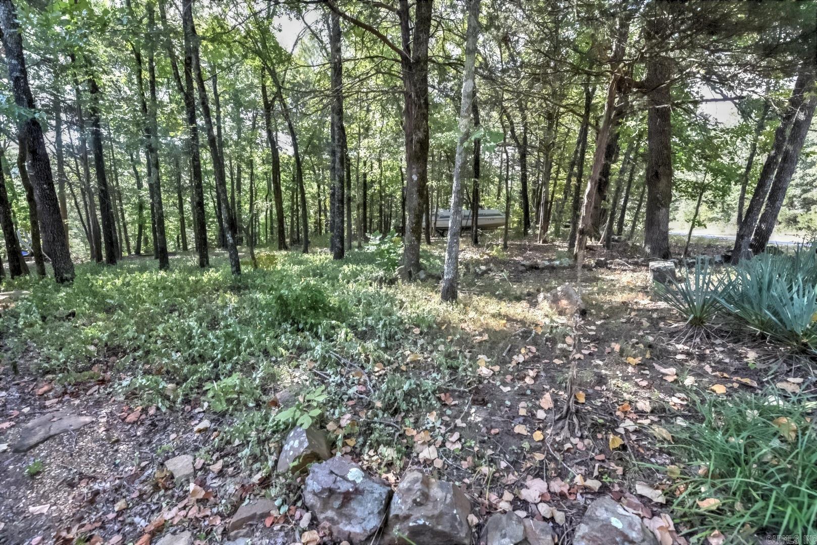 244 Lynn Creek  Fairfield Bay, AR