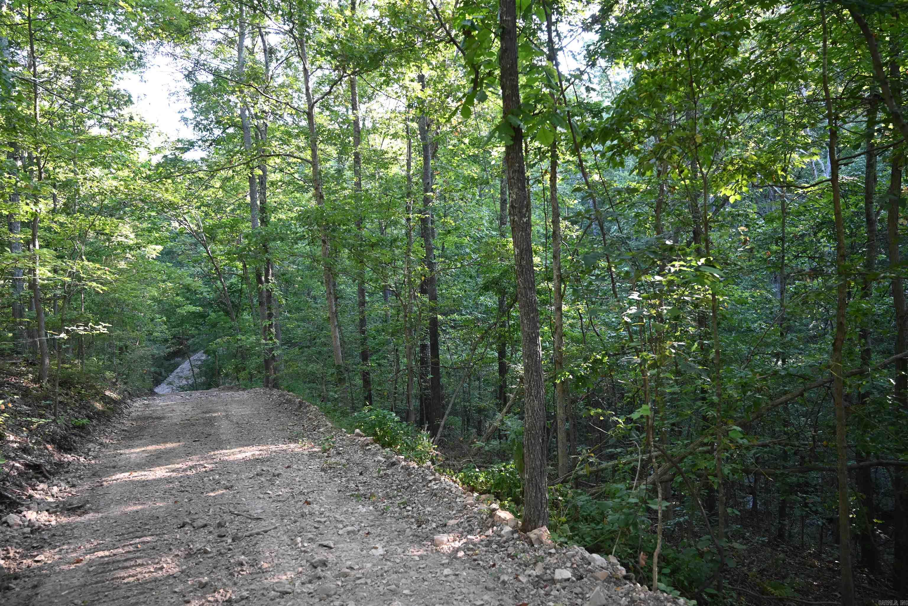 0000 Tomahawk Slab  St. Jo, AR