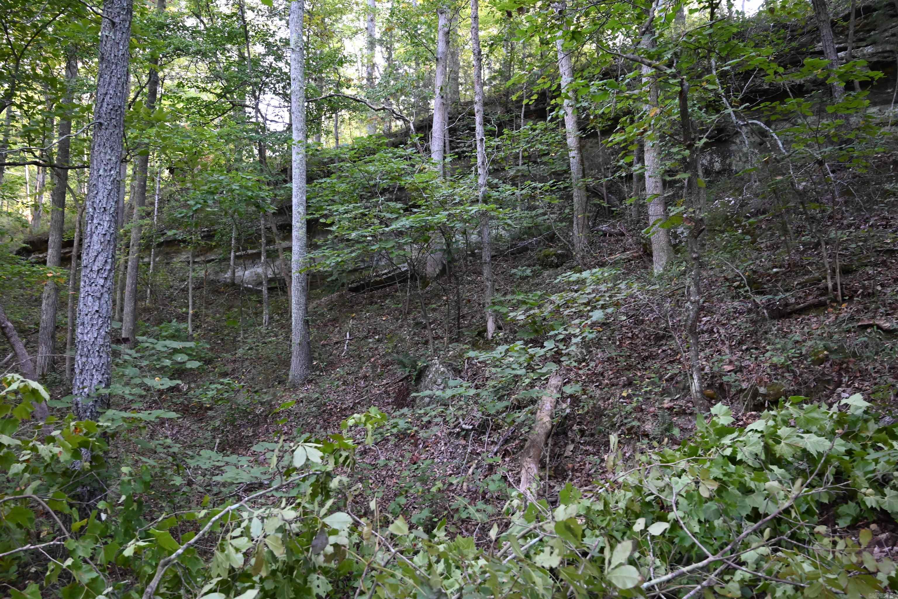 0000 Tomahawk Slab  St. Jo, AR