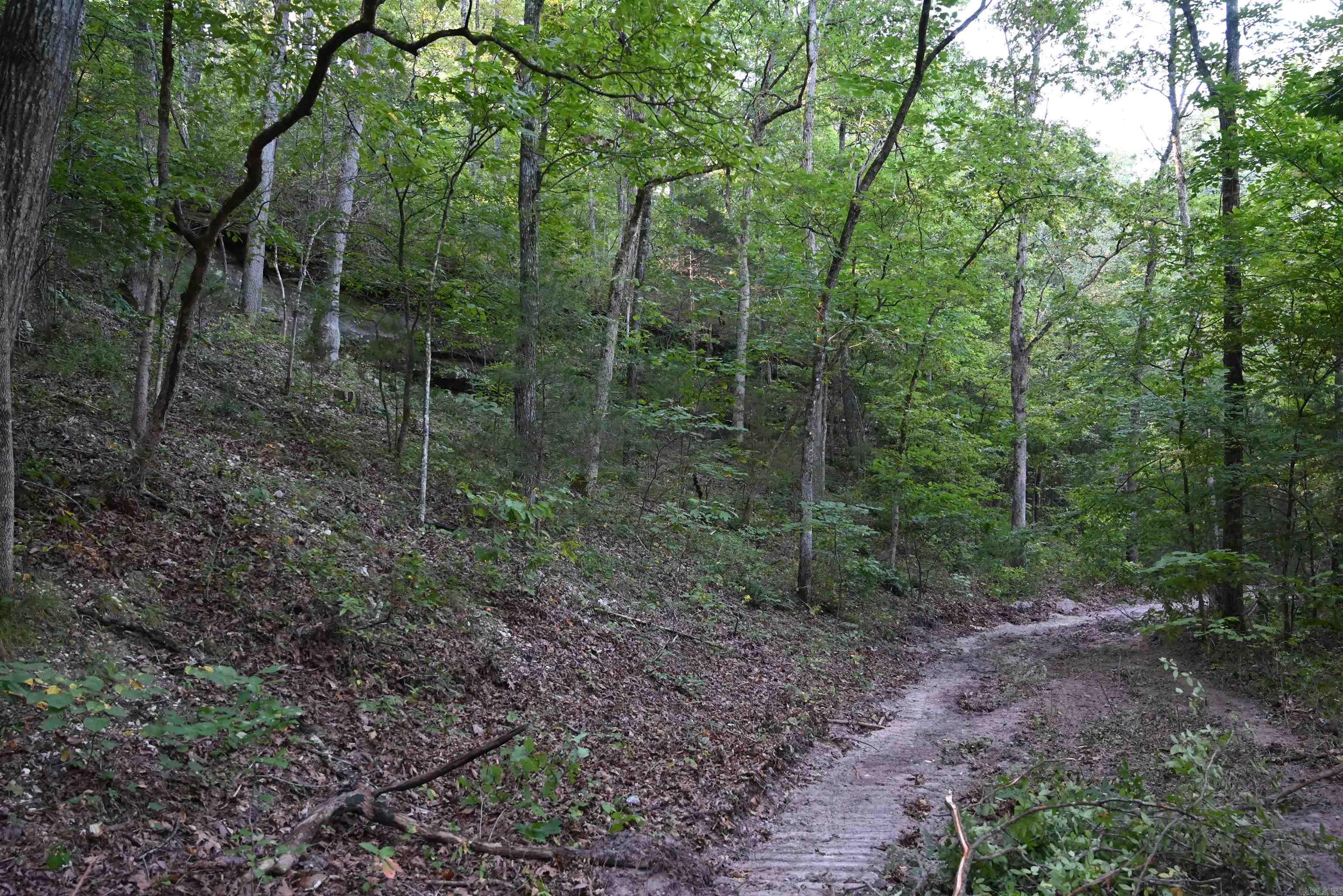 0000 Tomahawk Slab  St. Jo, AR