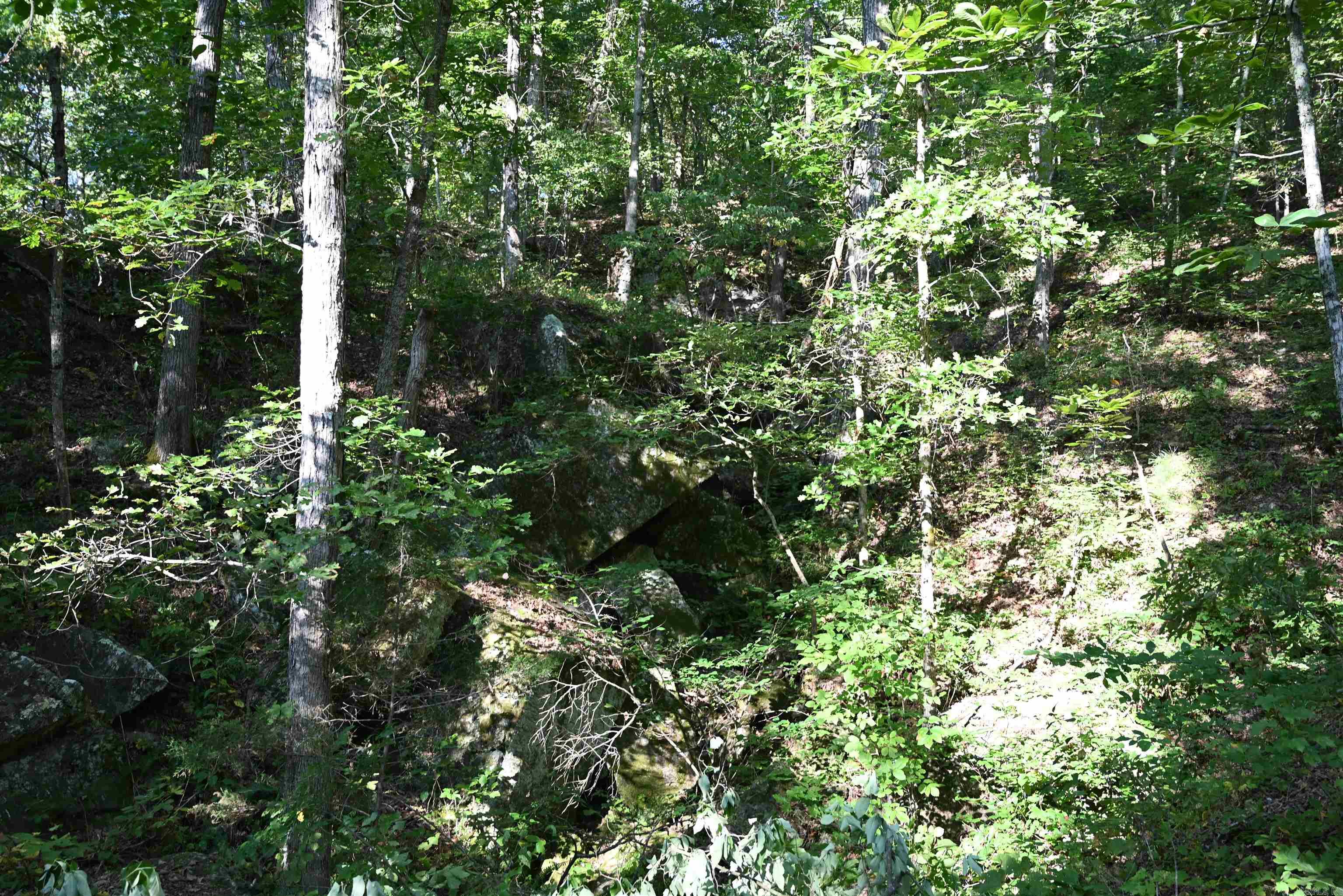 0000 Tomahawk Slab  St. Jo, AR