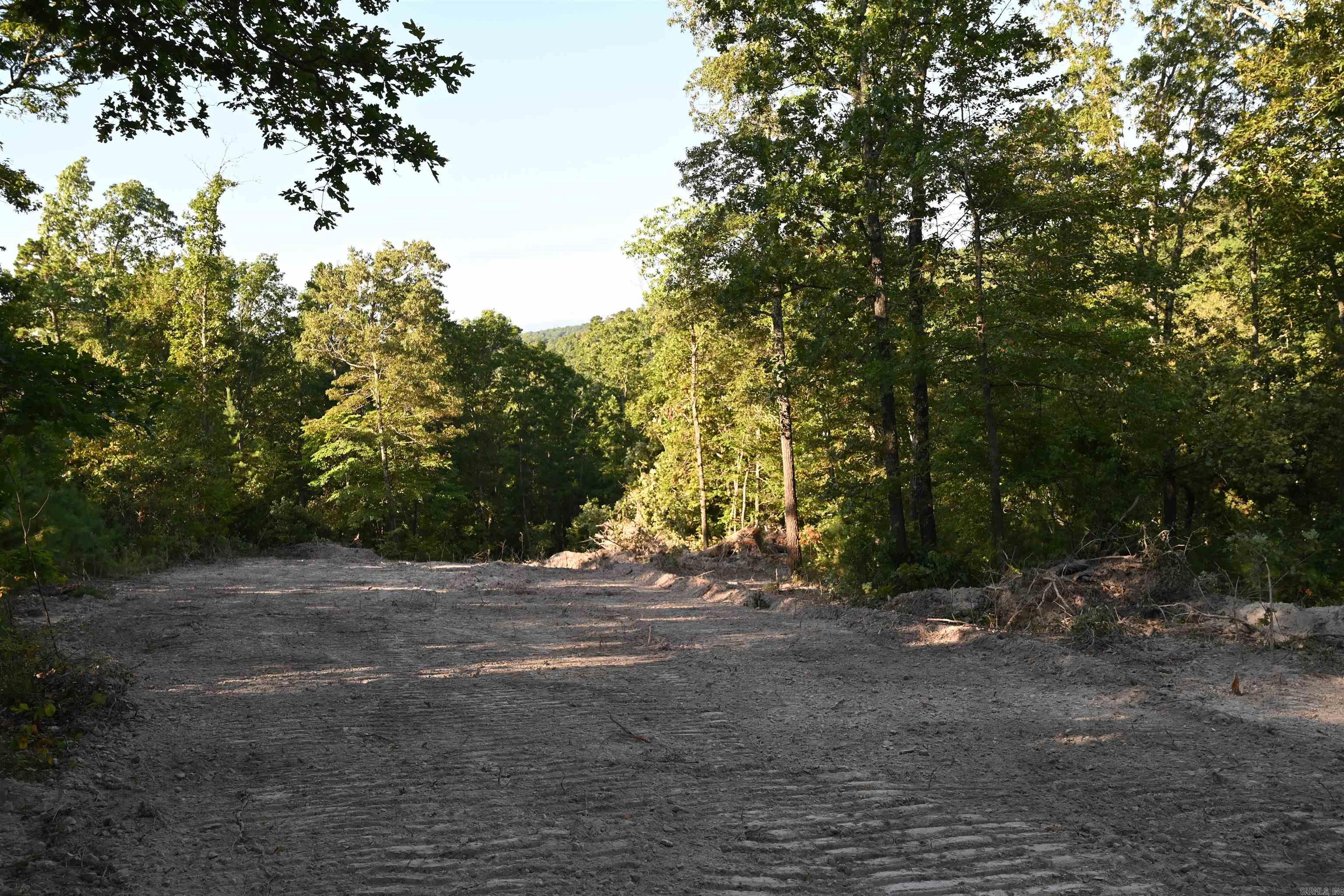 0000 Tomahawk Slab  St. Jo, AR