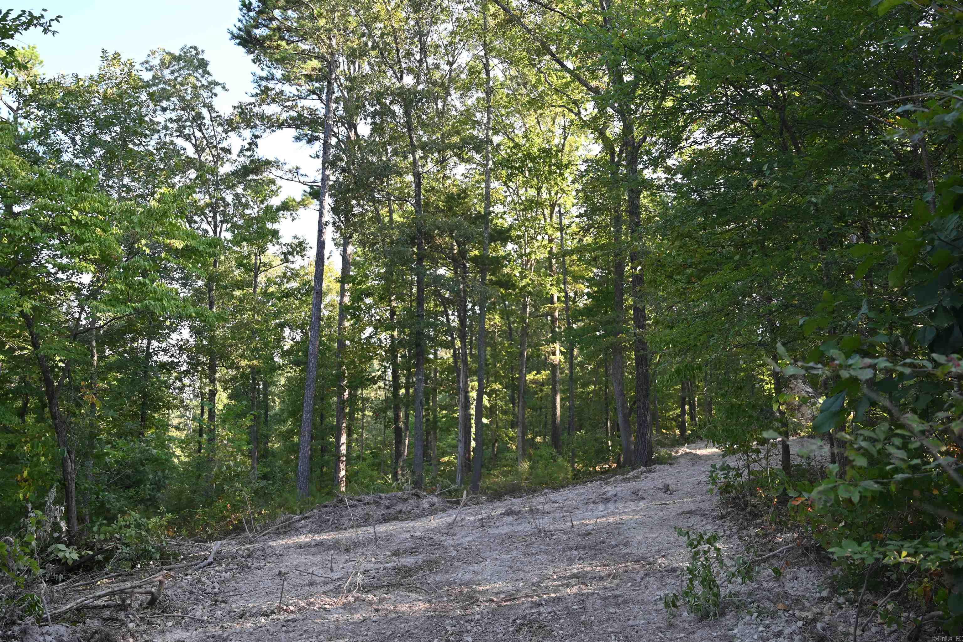 0000 Tomahawk Slab  St. Jo, AR