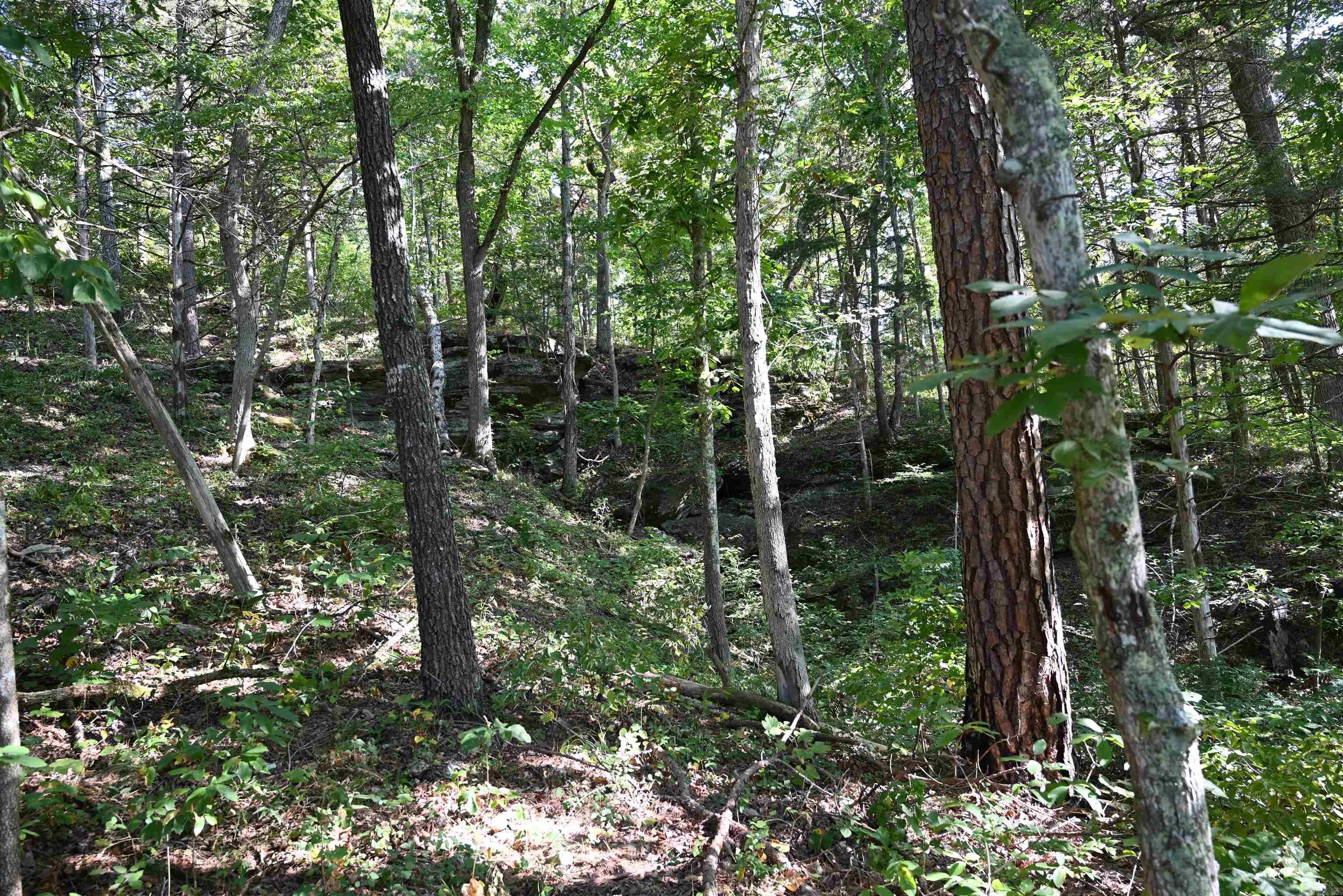 0000 Tomahawk Slab  St. Jo, AR