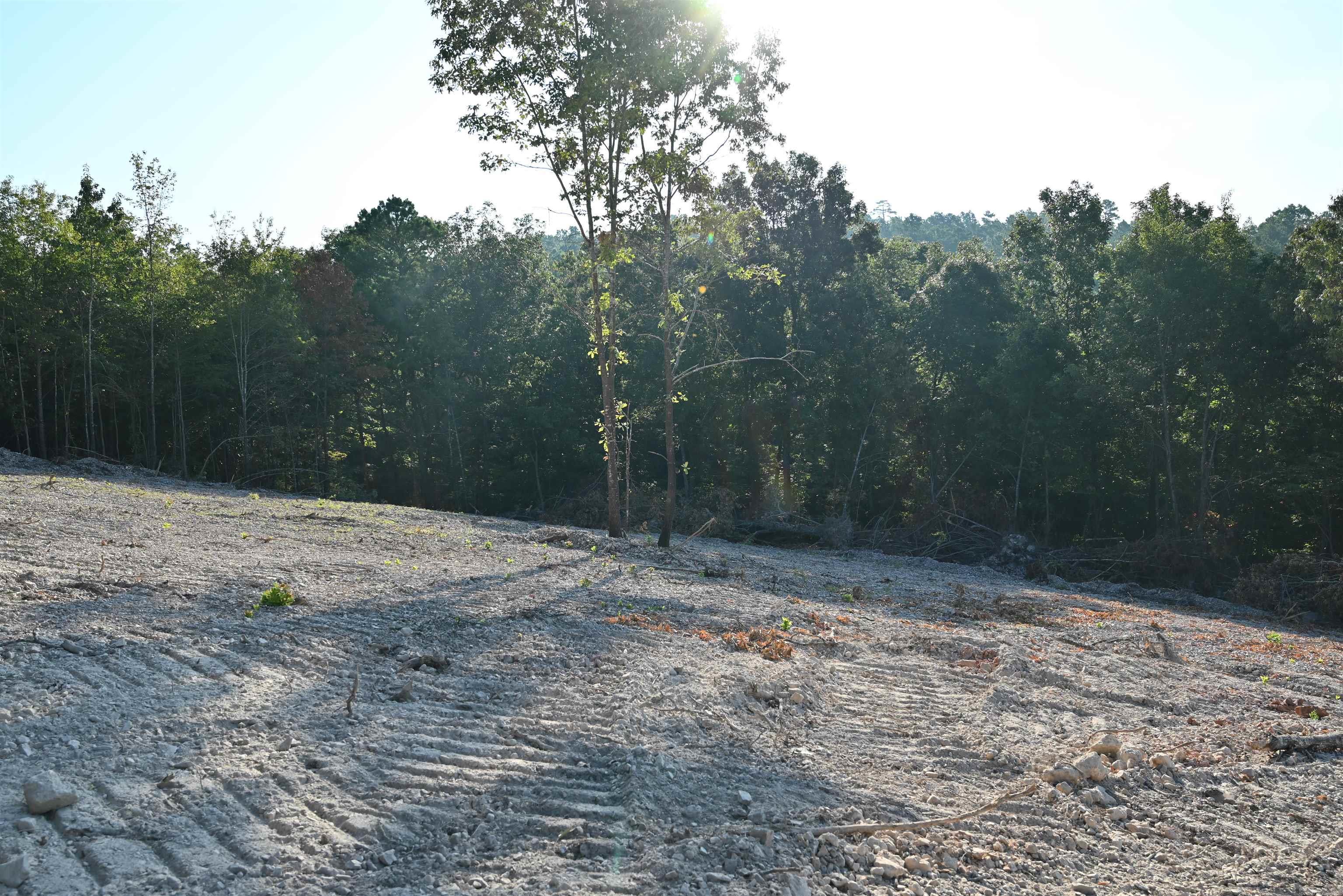 0000 Tomahawk Slab  St. Jo, AR