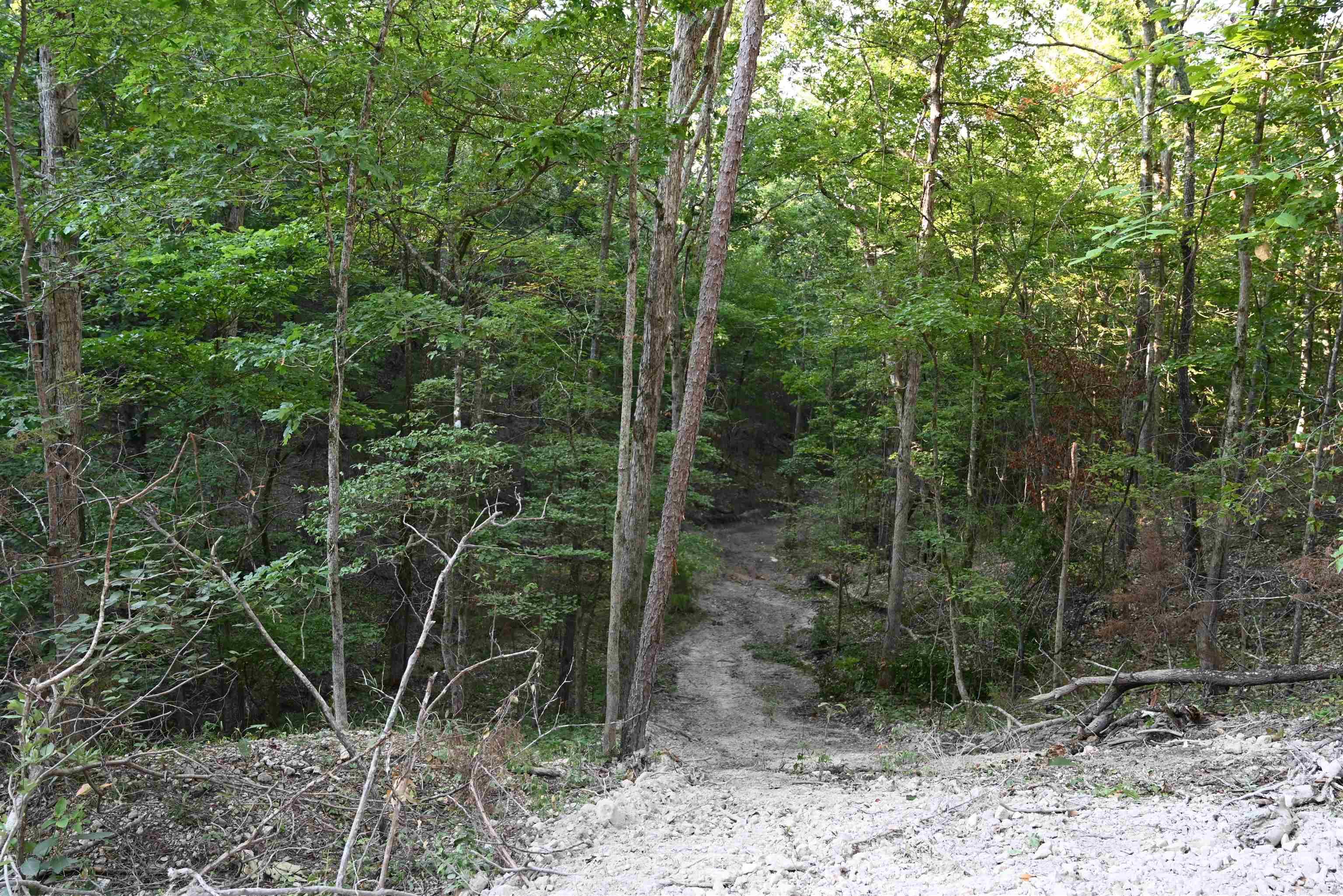 0000 Tomahawk Slab  St. Jo, AR