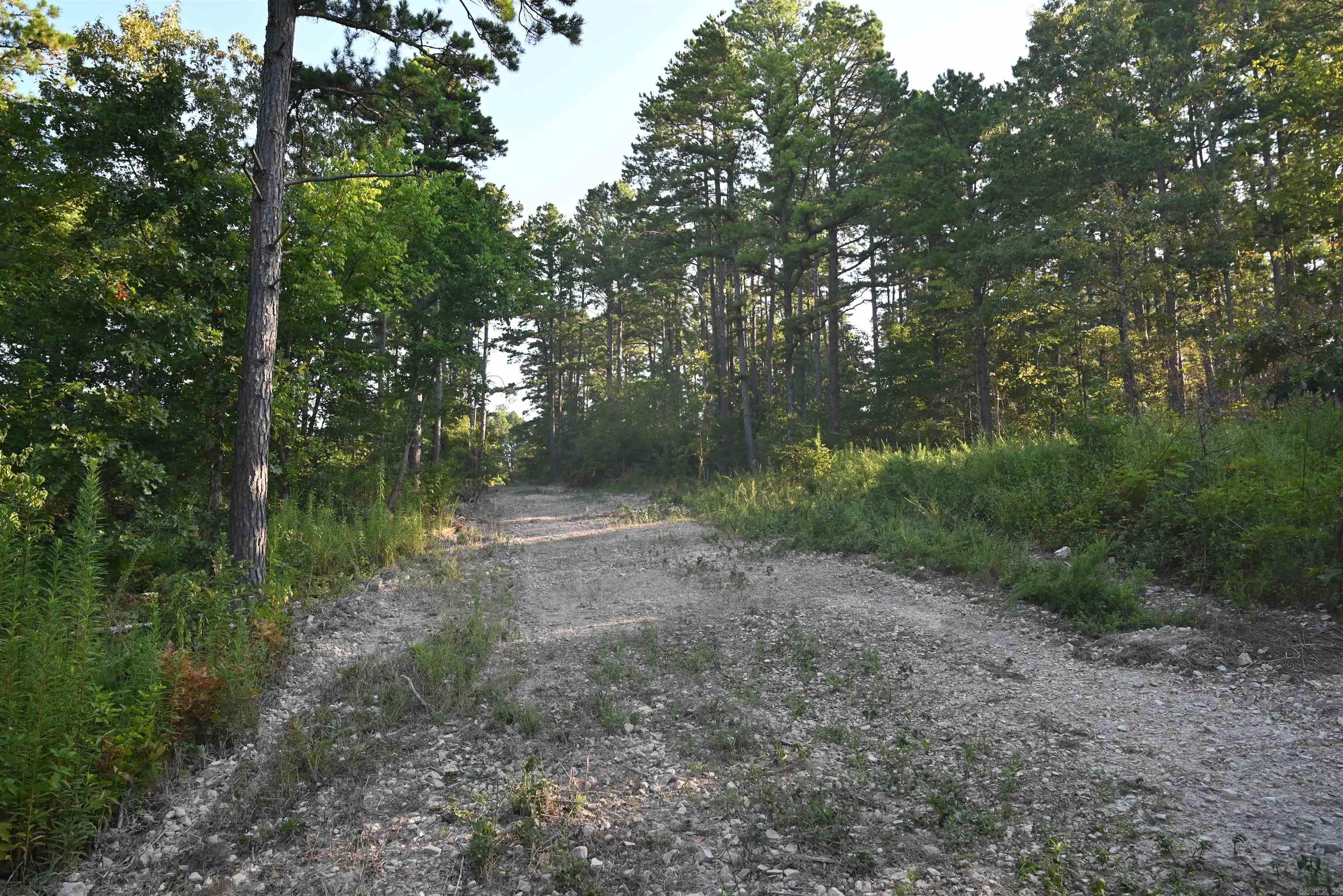 0000 Tomahawk Slab  St. Jo, AR