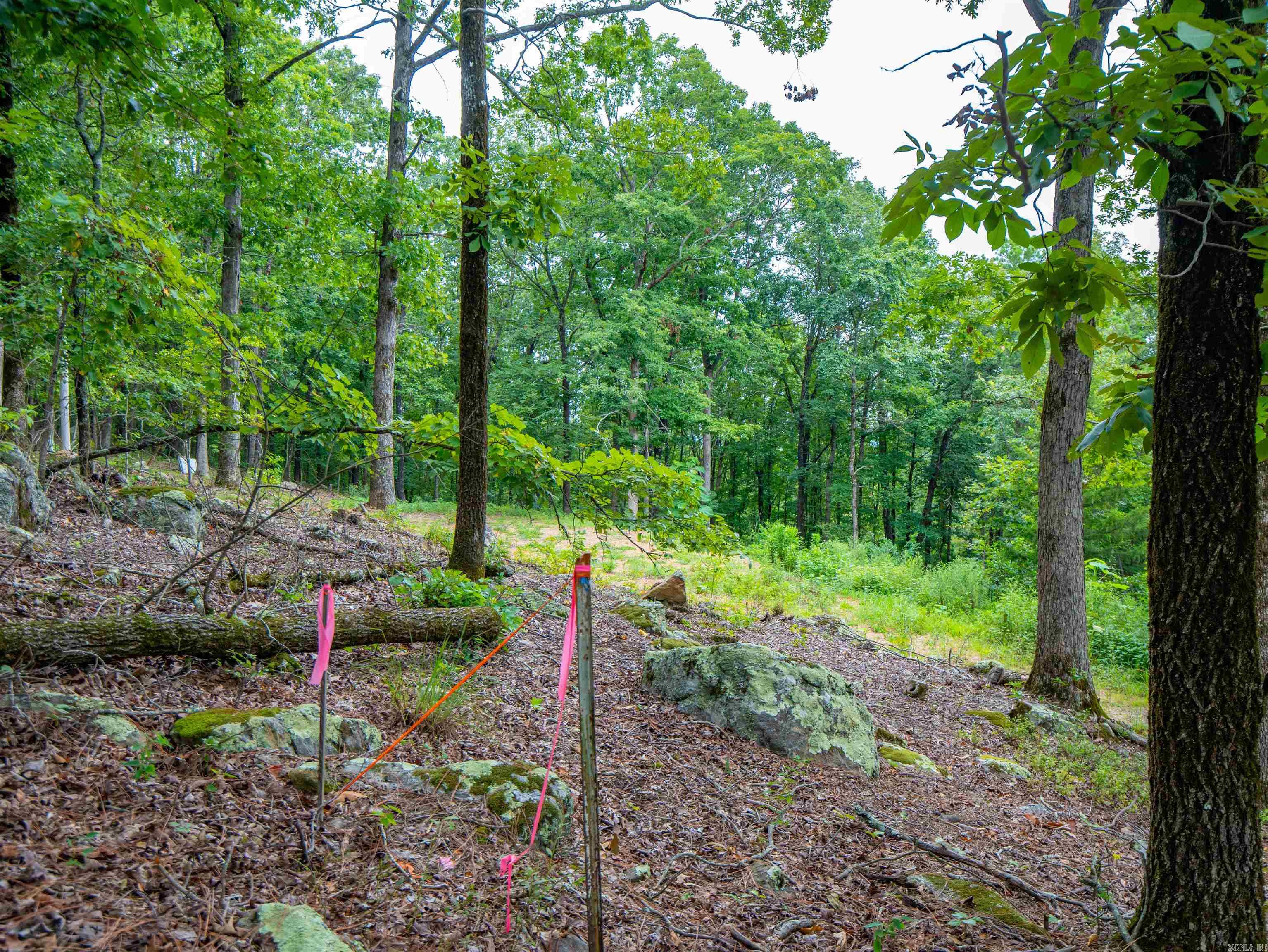 100 Block Spanish Mine  Hot Springs Village, AR