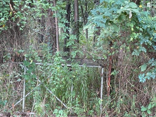 256 Caney Creek  Conway, AR