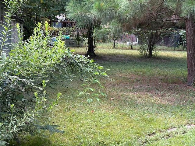 256 Caney Creek  Conway, AR