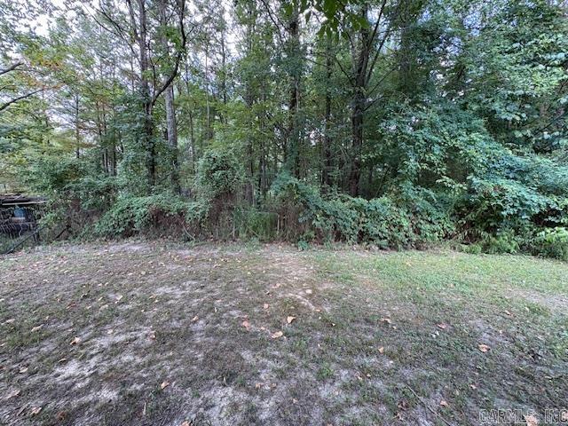 256 Caney Creek  Conway, AR
