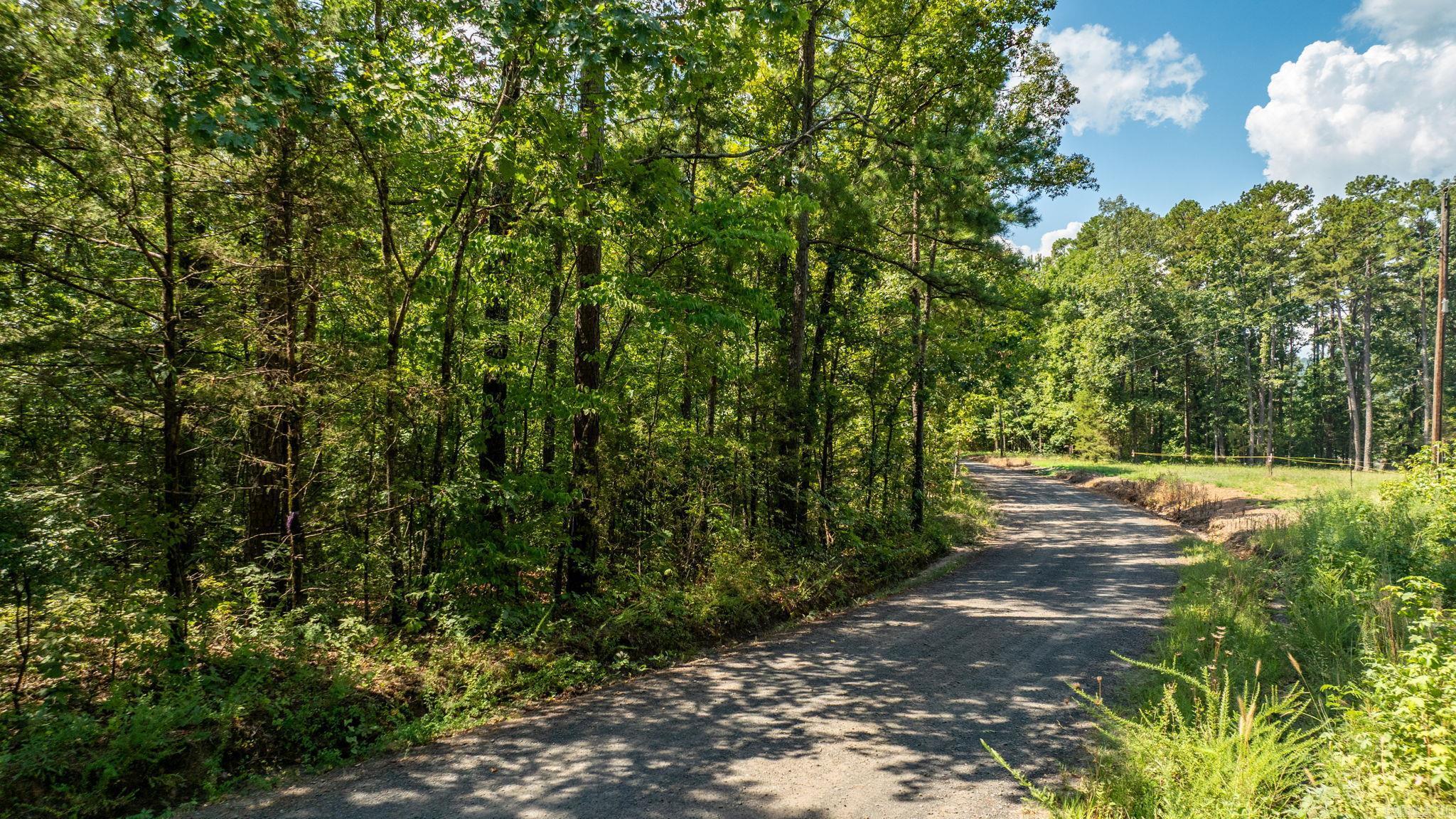 251 Sally Ann Dr.  Shirley, AR