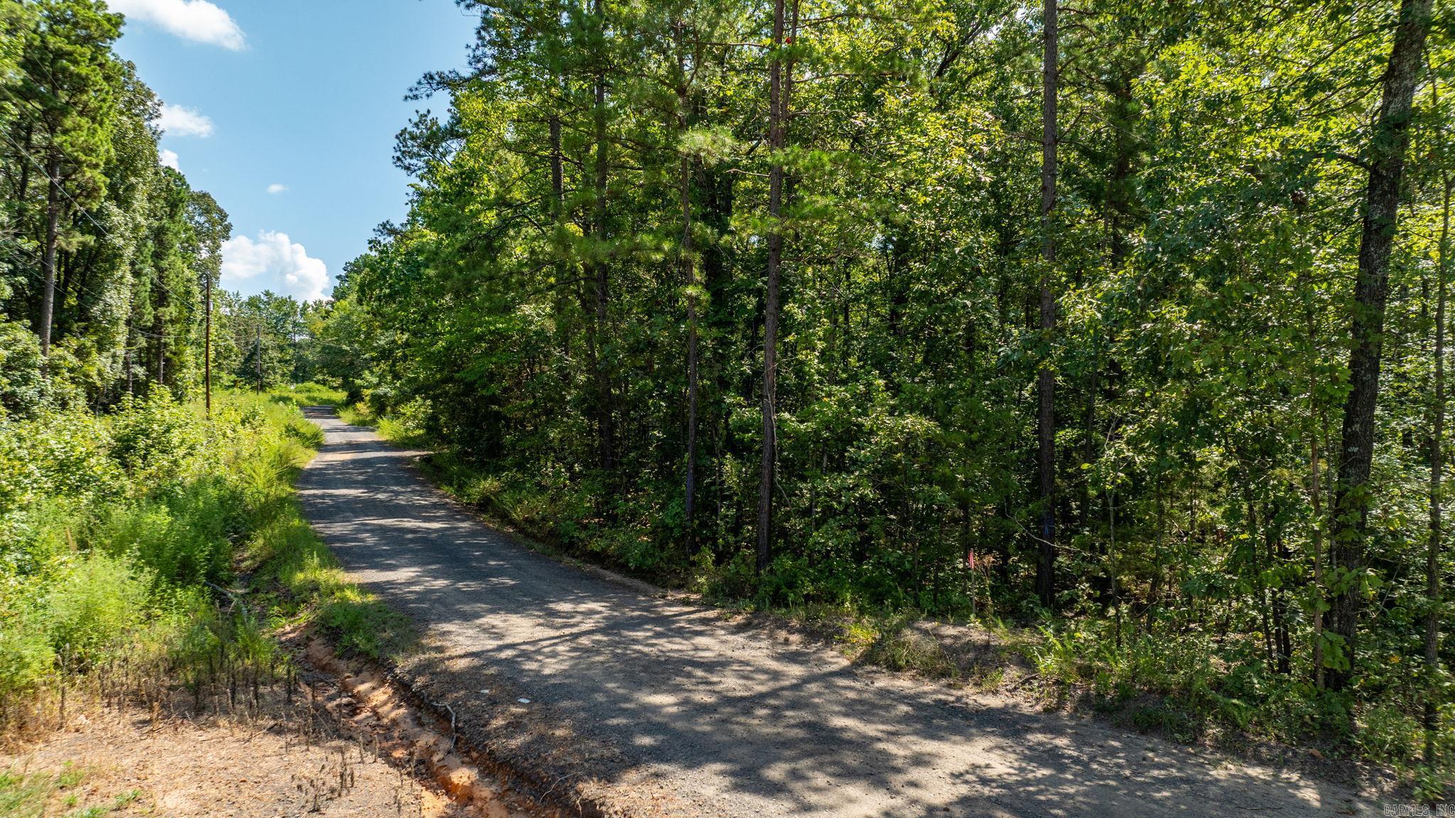 251 Sally Ann Dr.  Shirley, AR