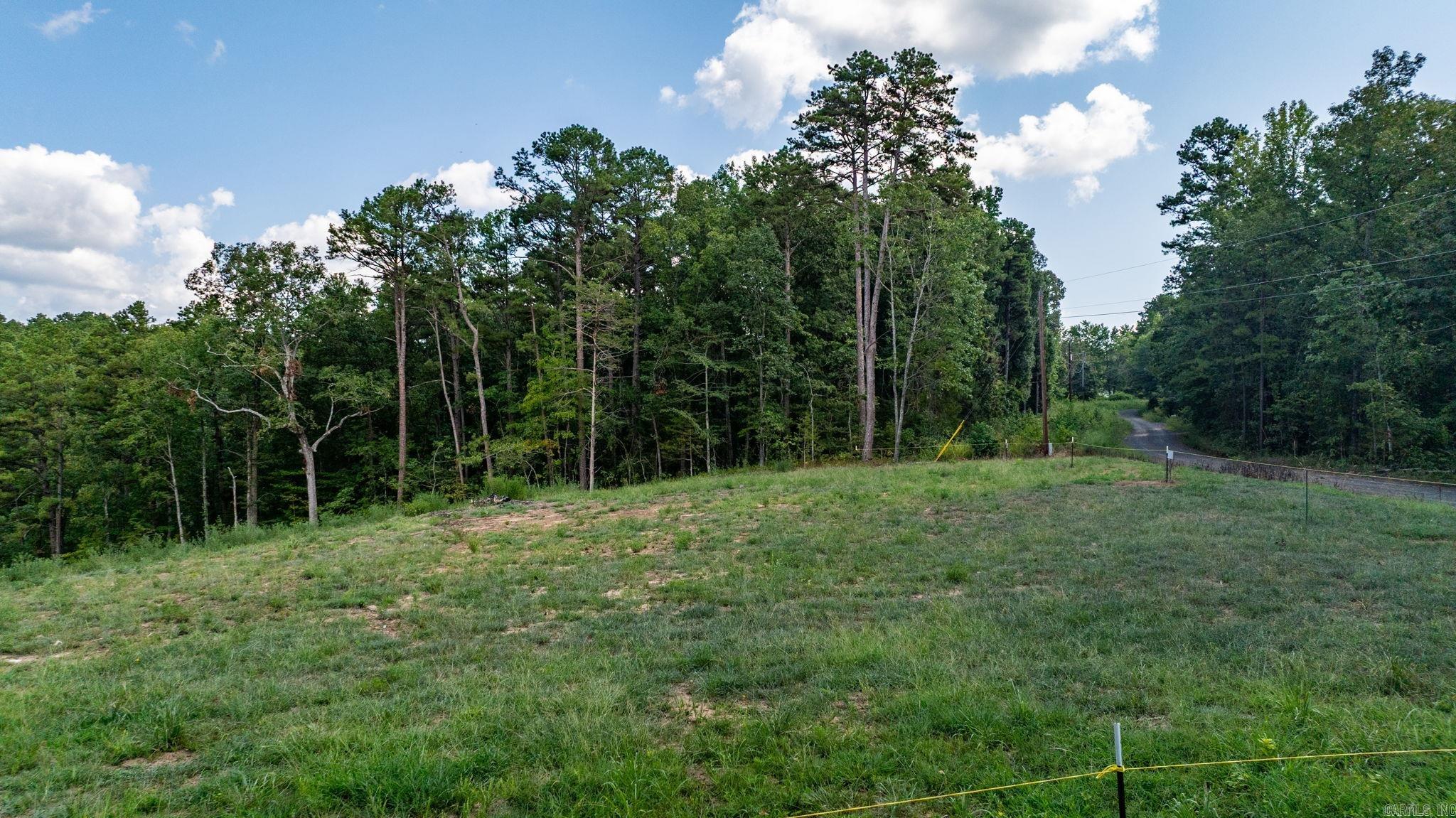 251 Sally Ann Dr.  Shirley, AR