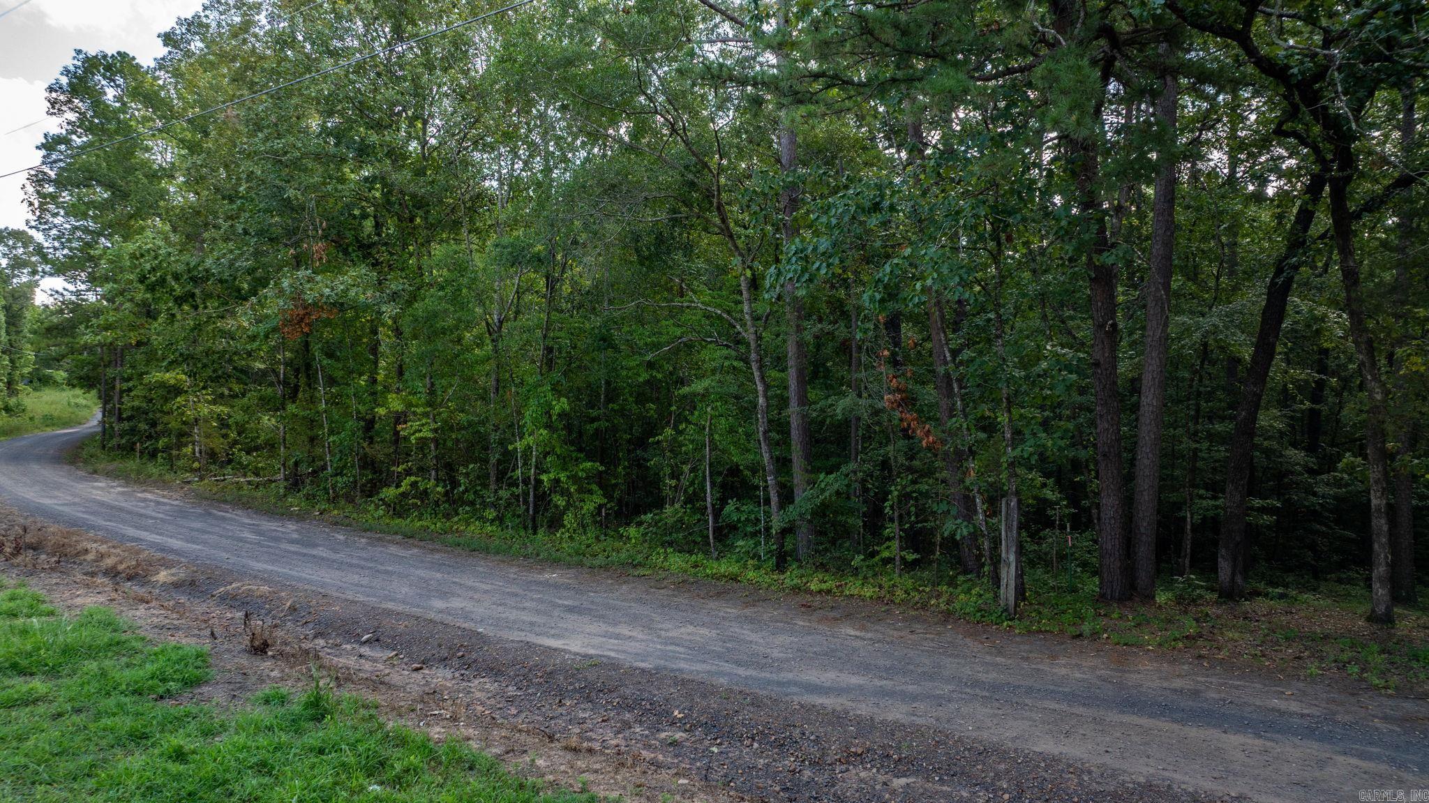 251 Sally Ann Dr.  Shirley, AR