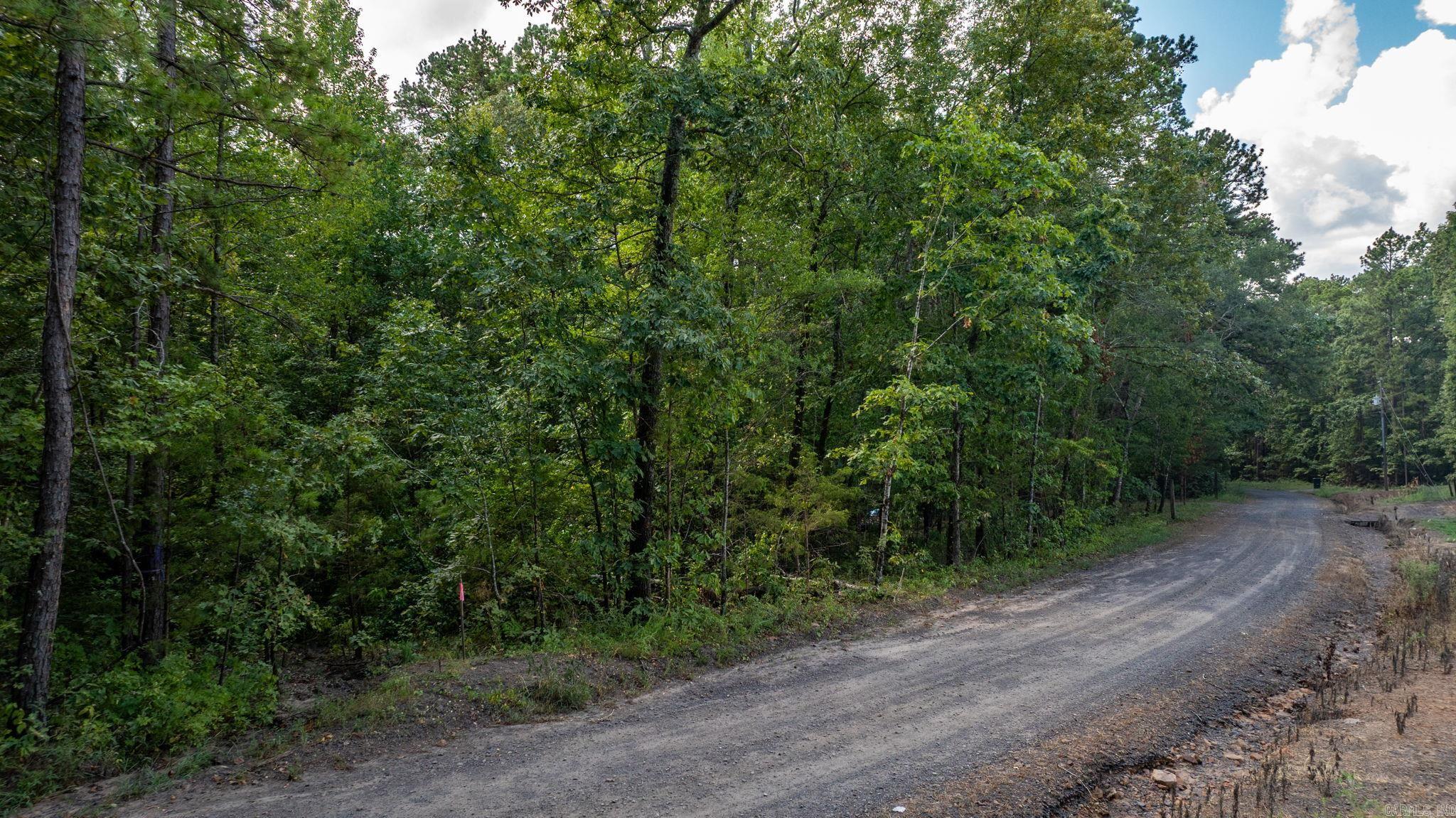 251 Sally Ann Dr.  Shirley, AR