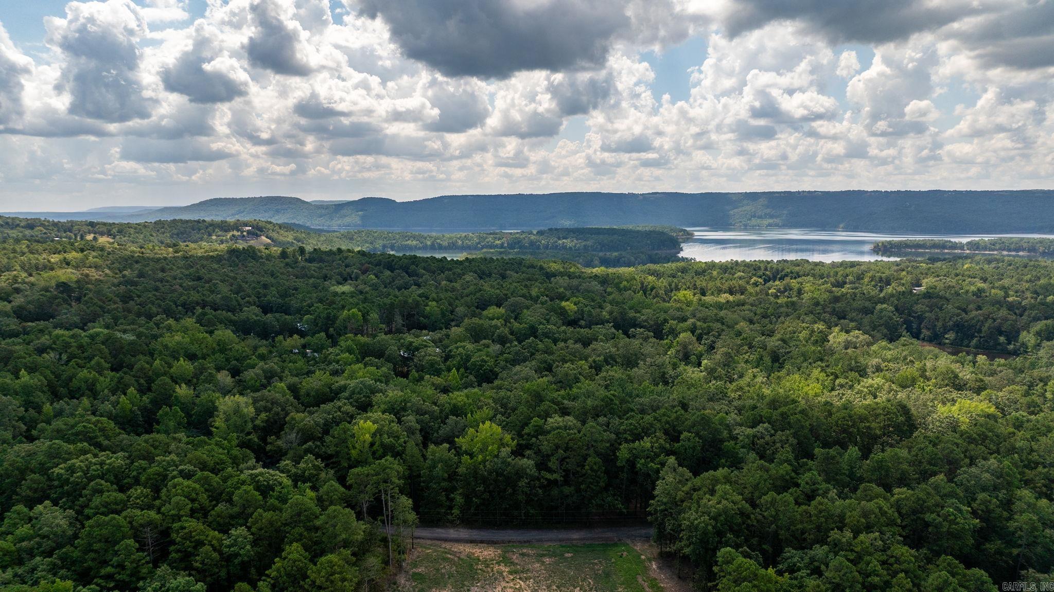 251 Sally Ann Dr.  Shirley, AR