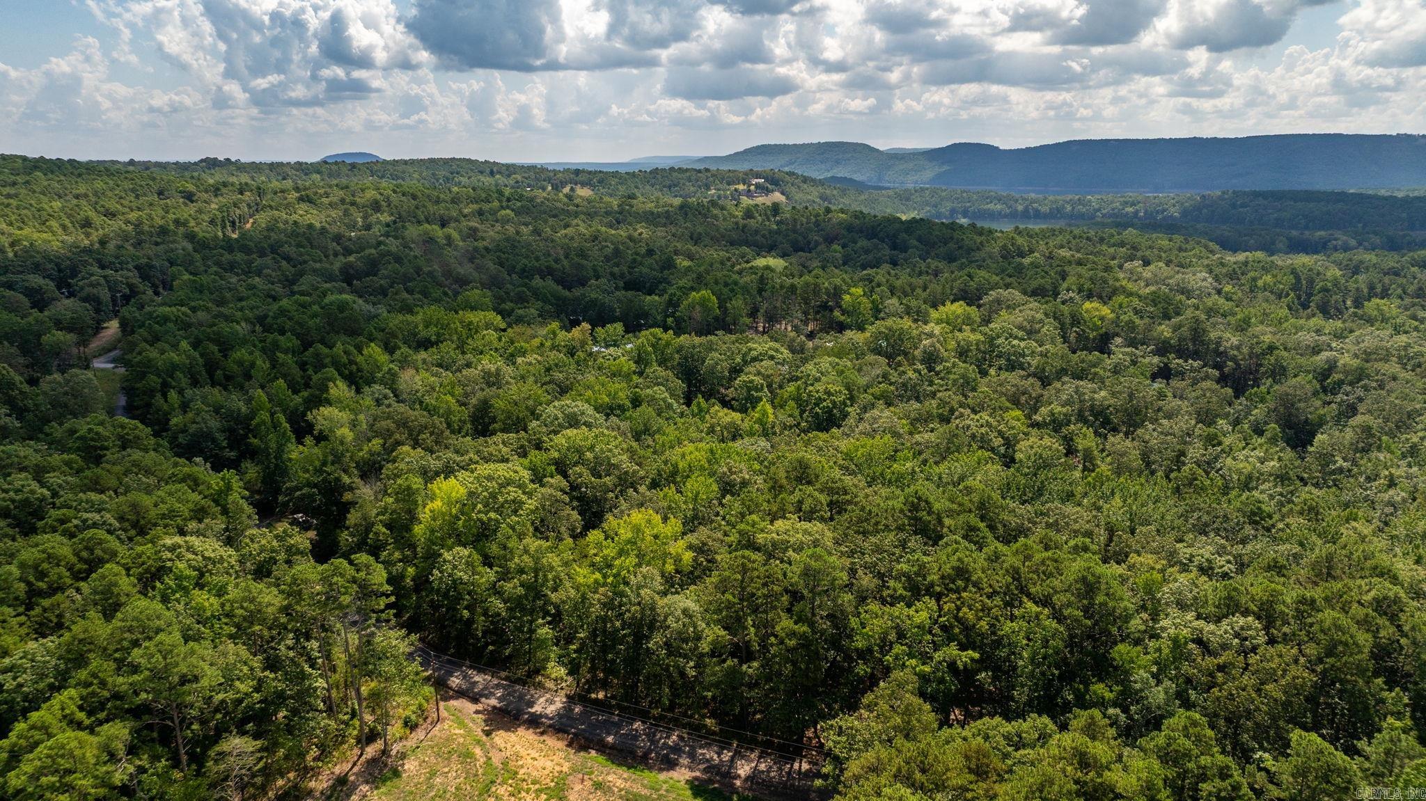 251 Sally Ann Dr.  Shirley, AR