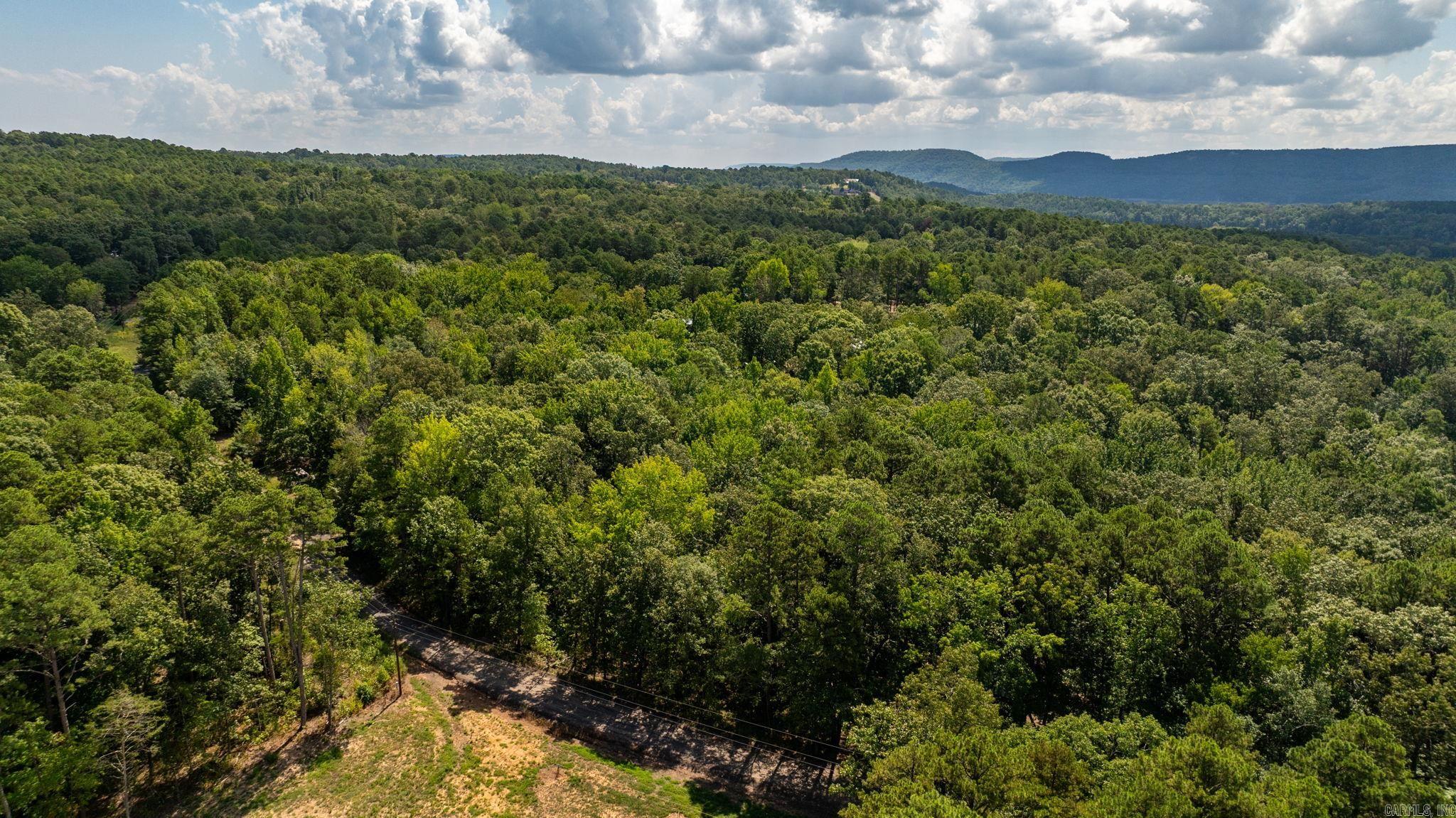 251 Sally Ann Dr.  Shirley, AR