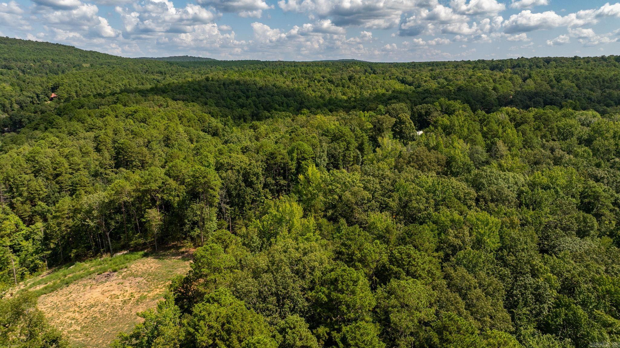 251 Sally Ann Dr.  Shirley, AR