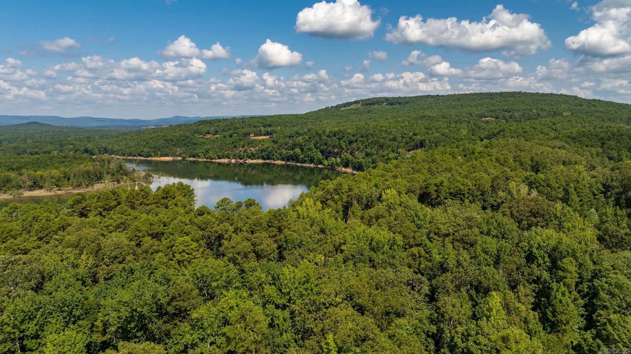 251 Sally Ann Dr.  Shirley, AR