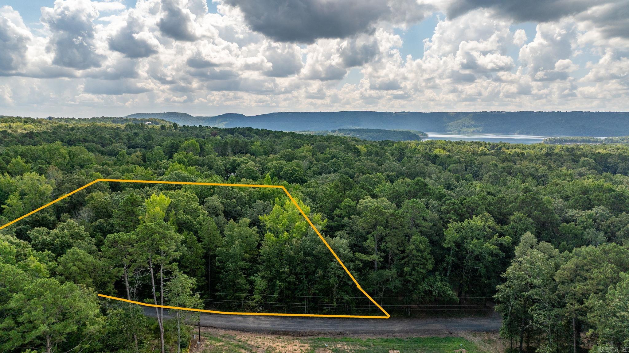 251 Sally Ann Dr.  Shirley, AR