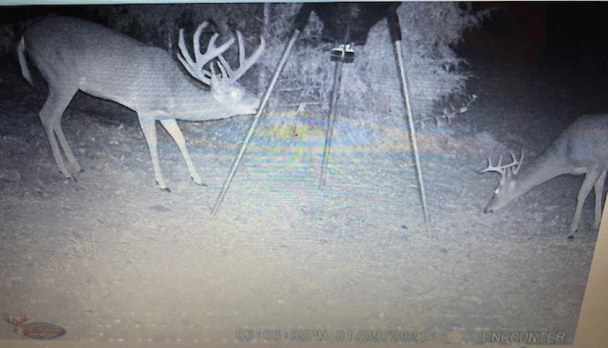 4 Kee Trl  Hardy, AR