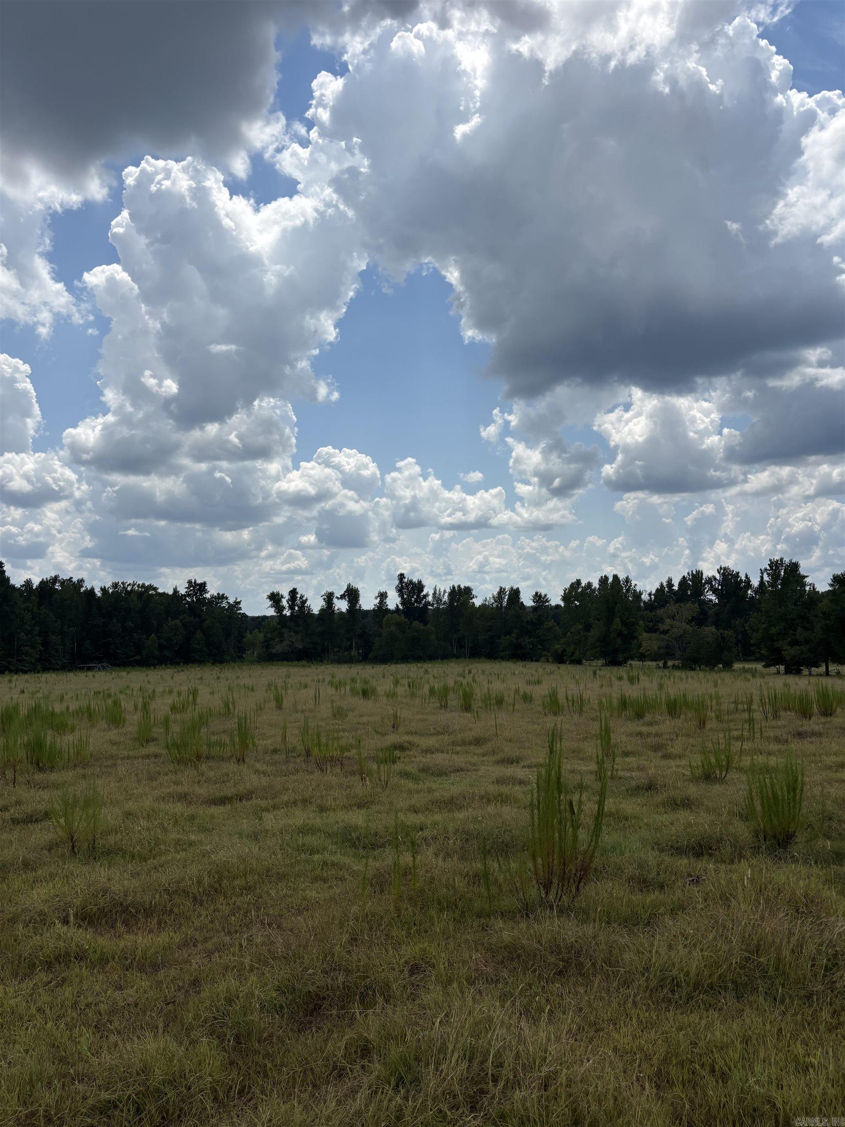  Goodfellow Rd.  Star City, AR