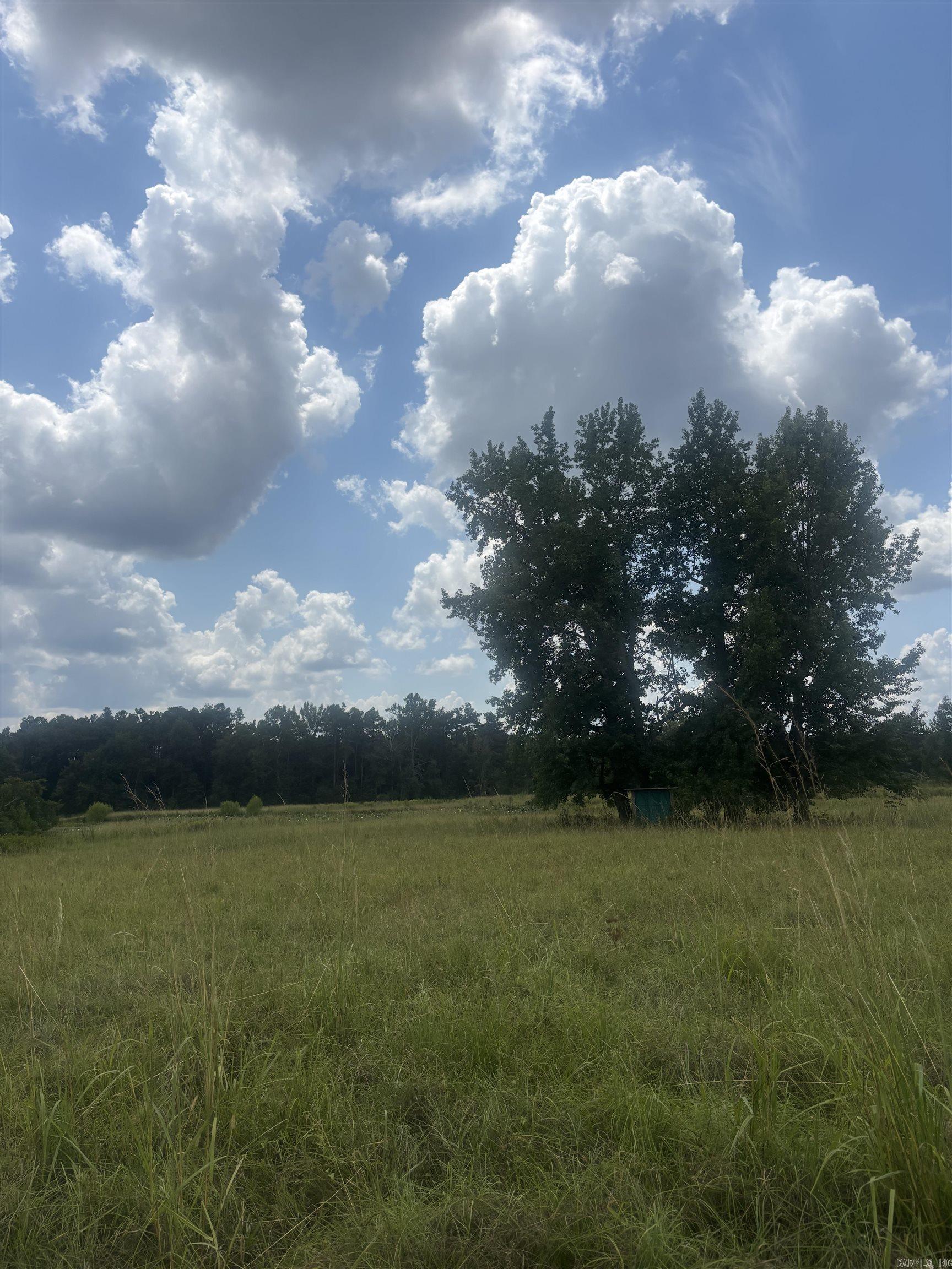  Goodfellow Rd.  Star City, AR