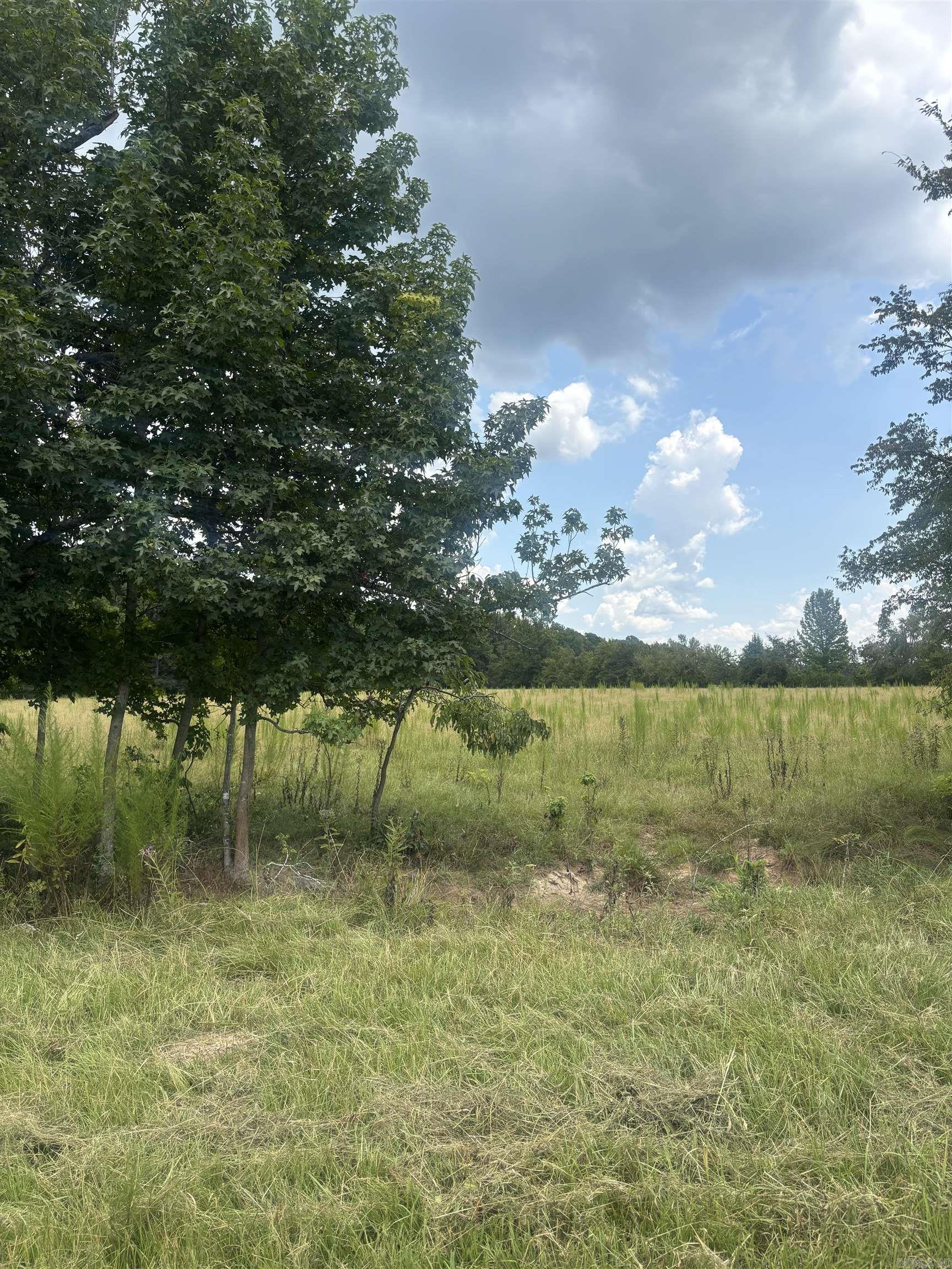  Goodfellow Rd.  Star City, AR