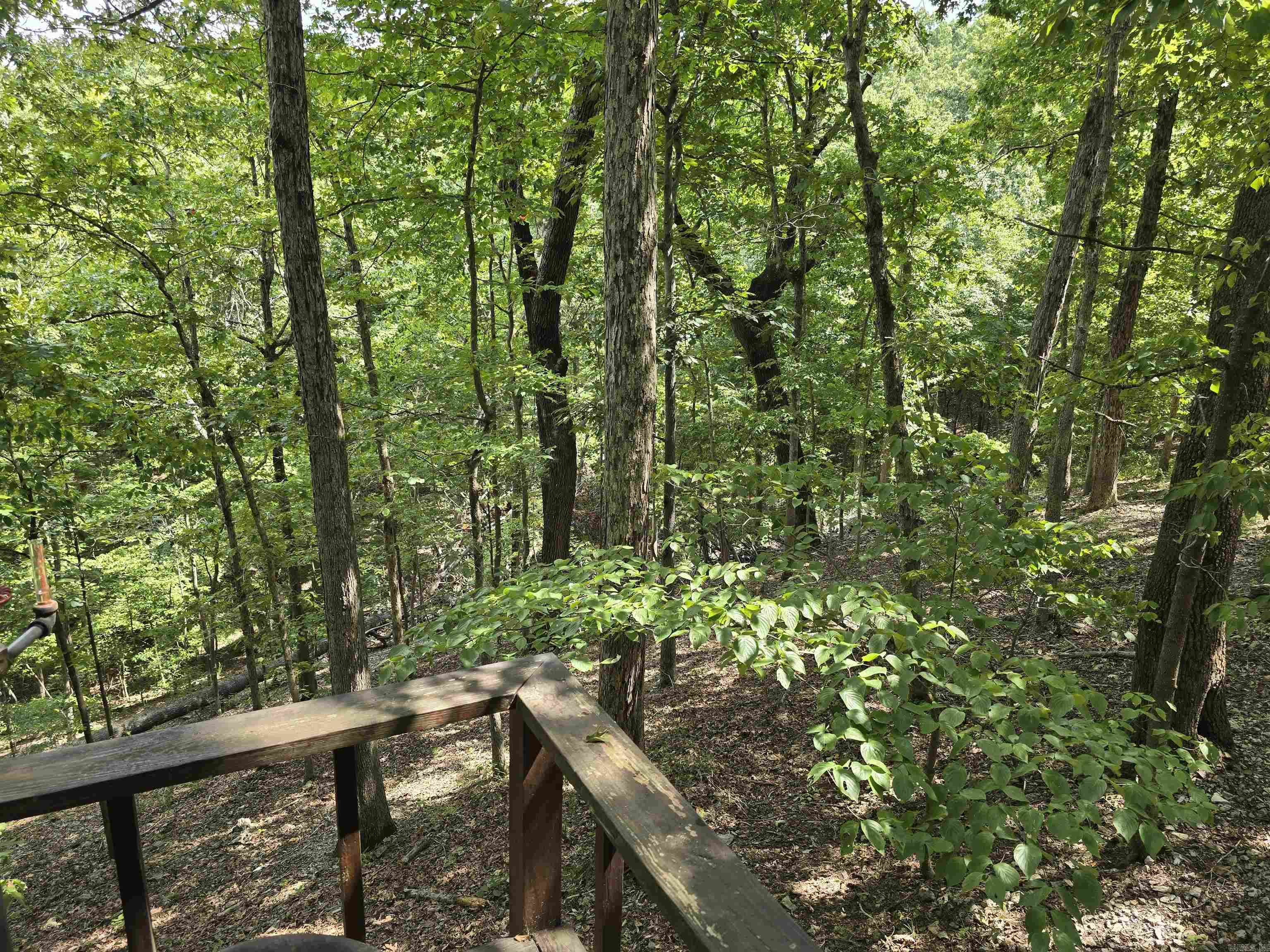 2732 Mitchell Road  Mountain View, AR