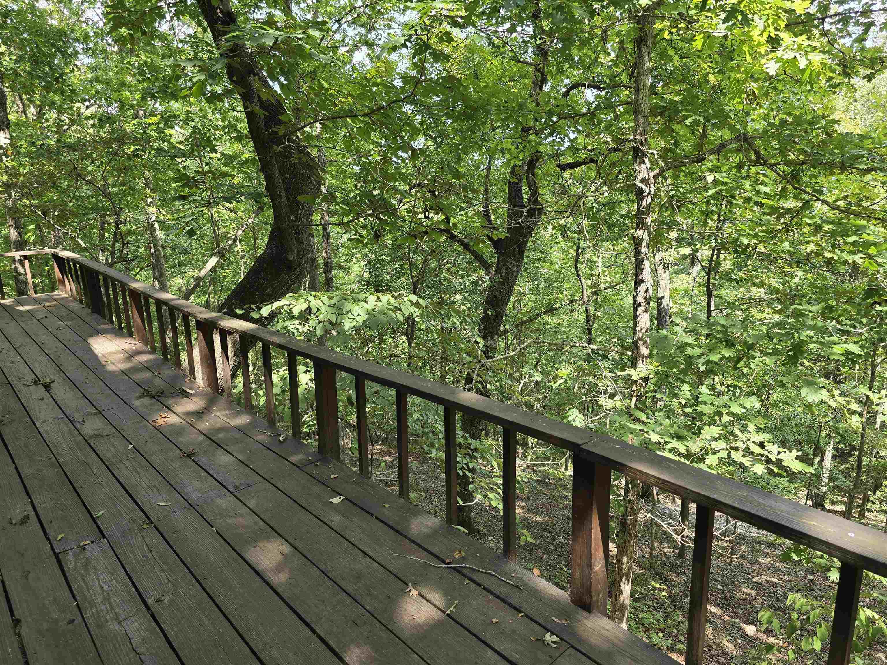 2732 Mitchell Road  Mountain View, AR