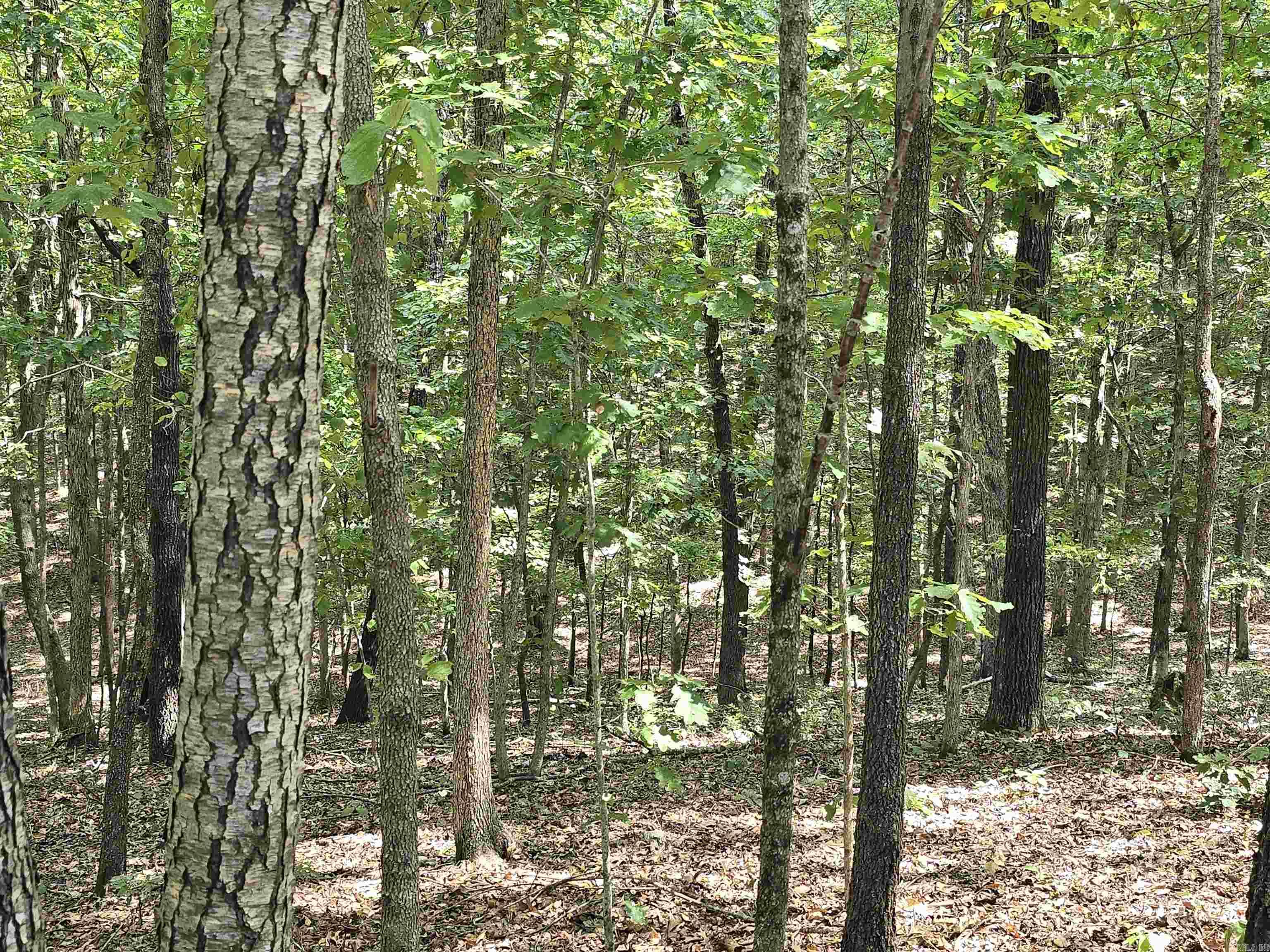 2732 Mitchell Road  Mountain View, AR