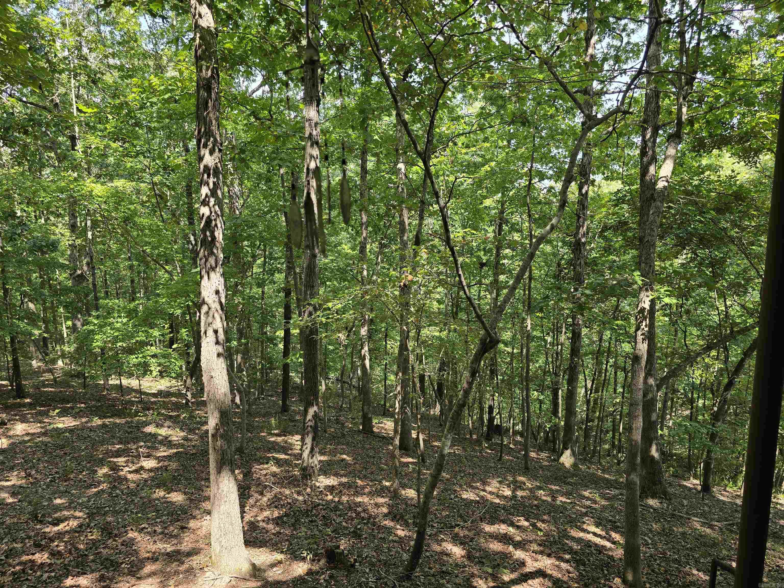 2732 Mitchell Road  Mountain View, AR
