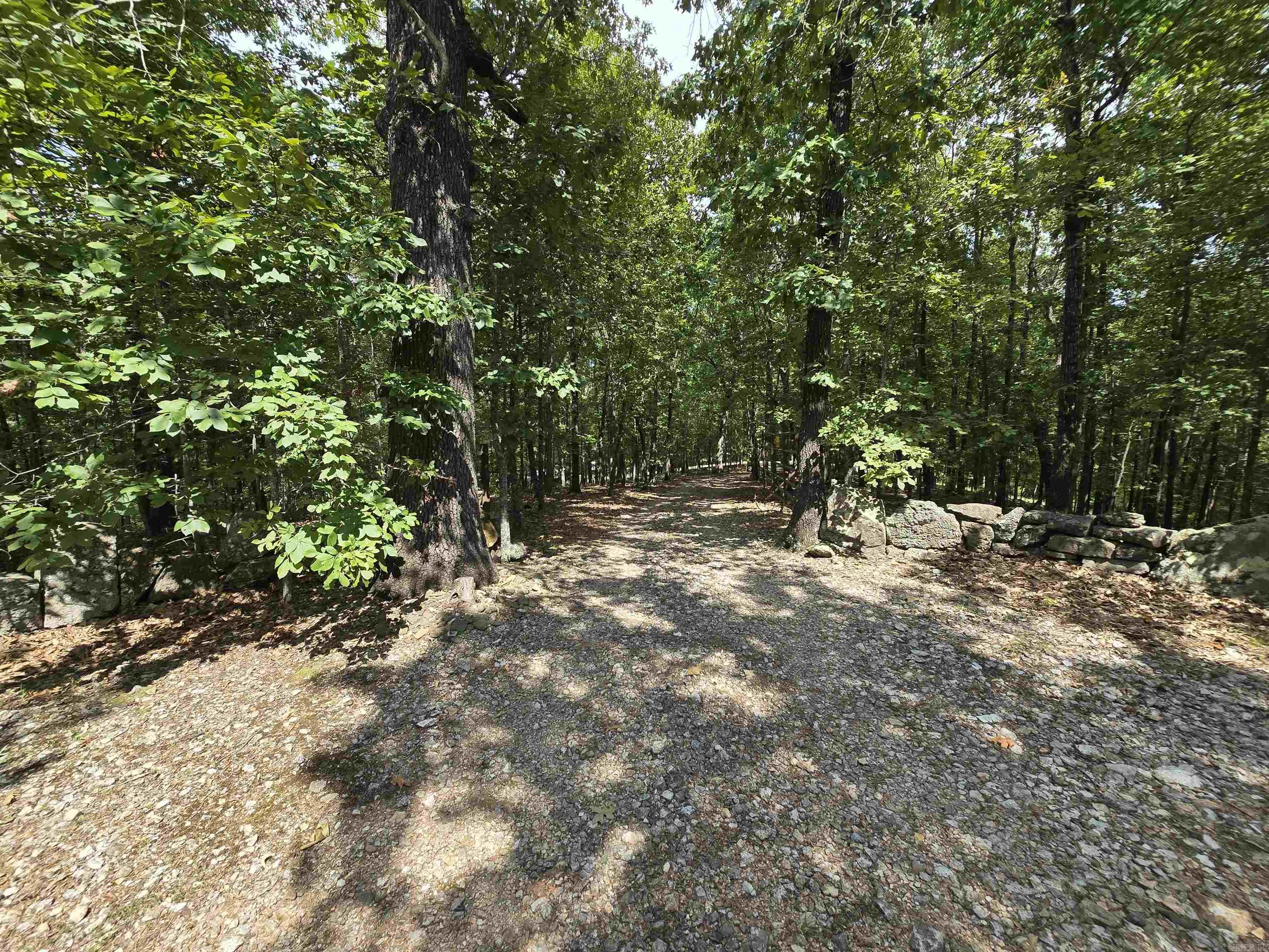 2732 Mitchell Road  Mountain View, AR