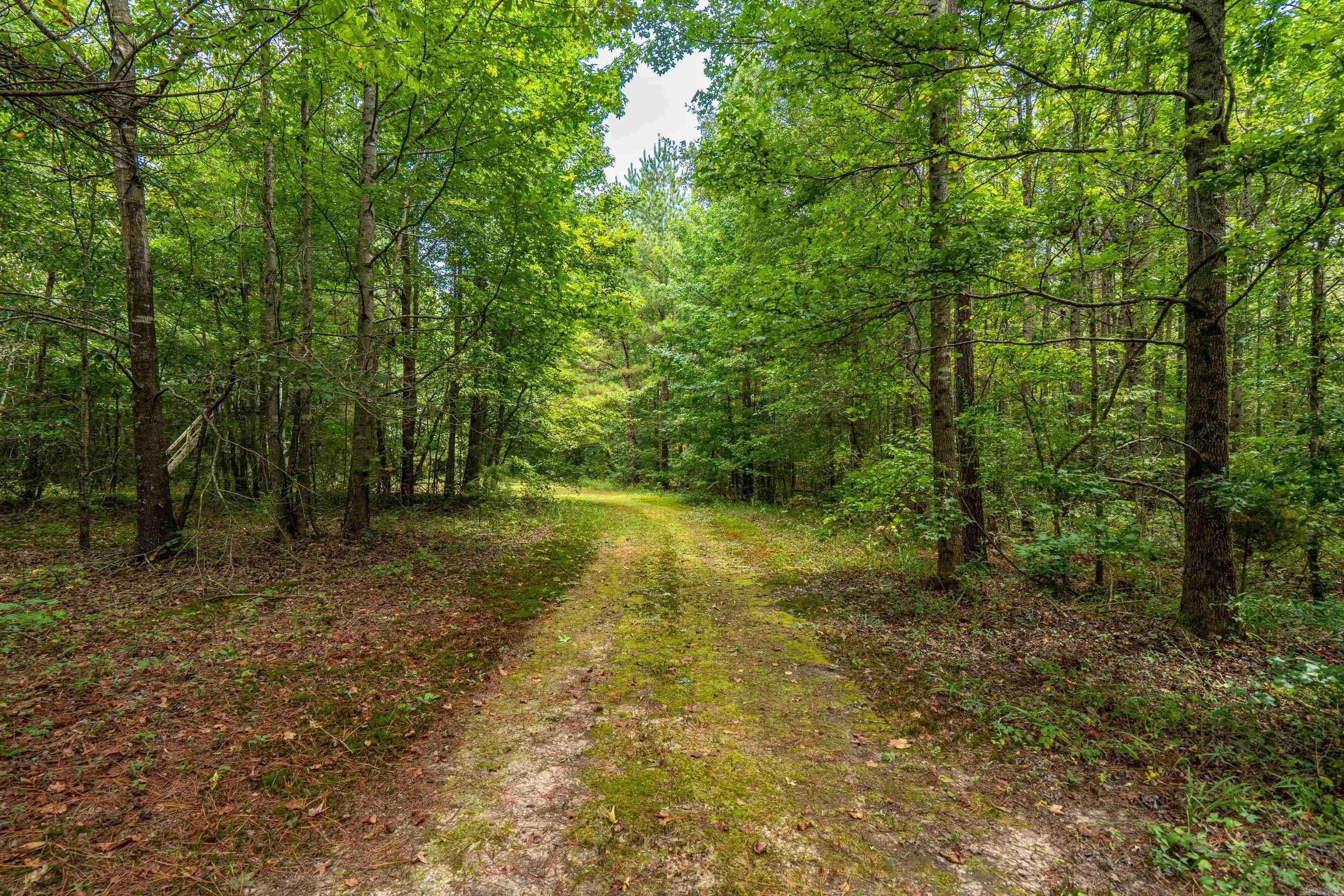 2019 Traskwood  Traskwood, AR