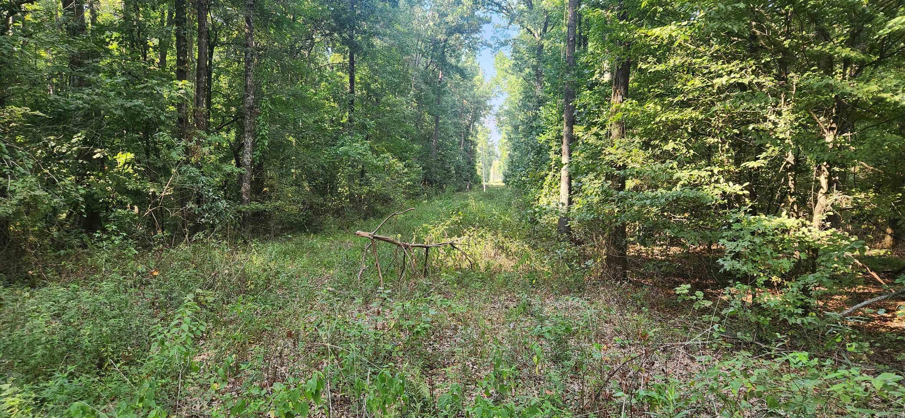000 Joel  Star City, AR