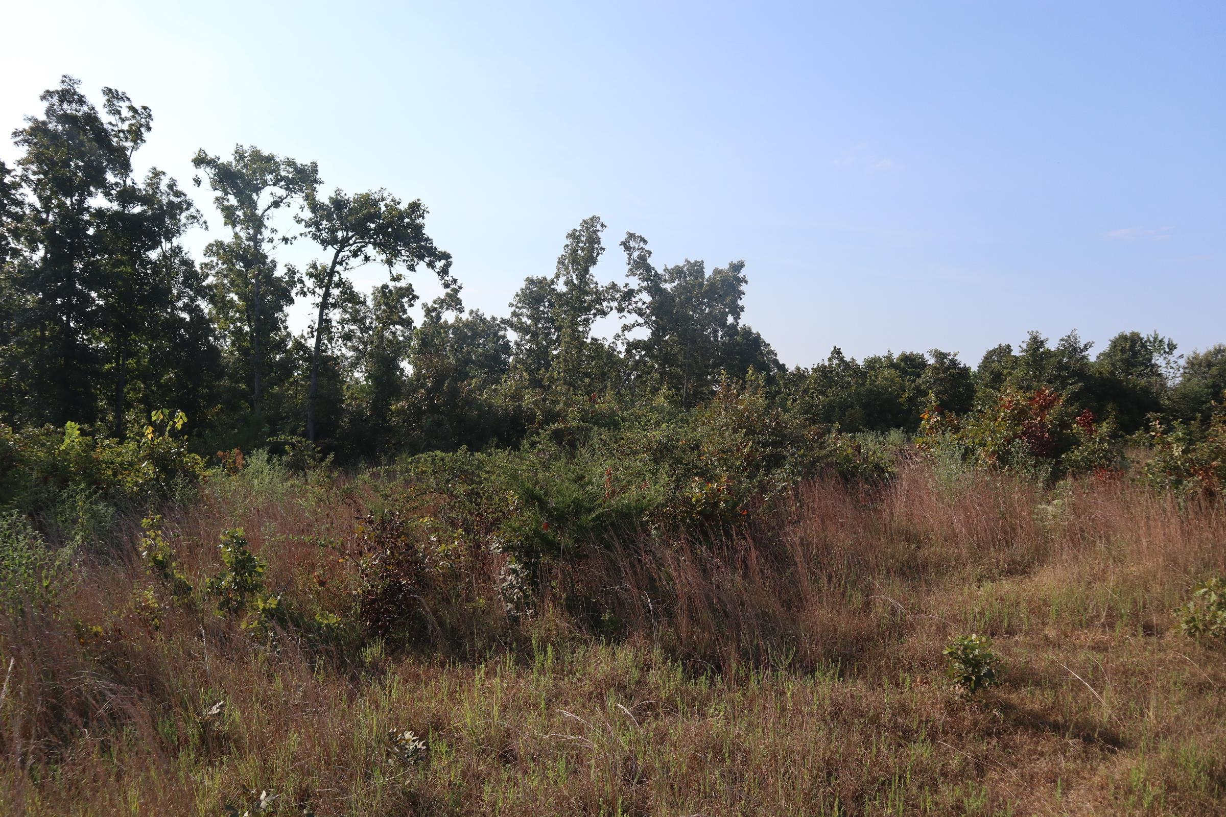 TBD Brookgrove Trl  Camp, AR