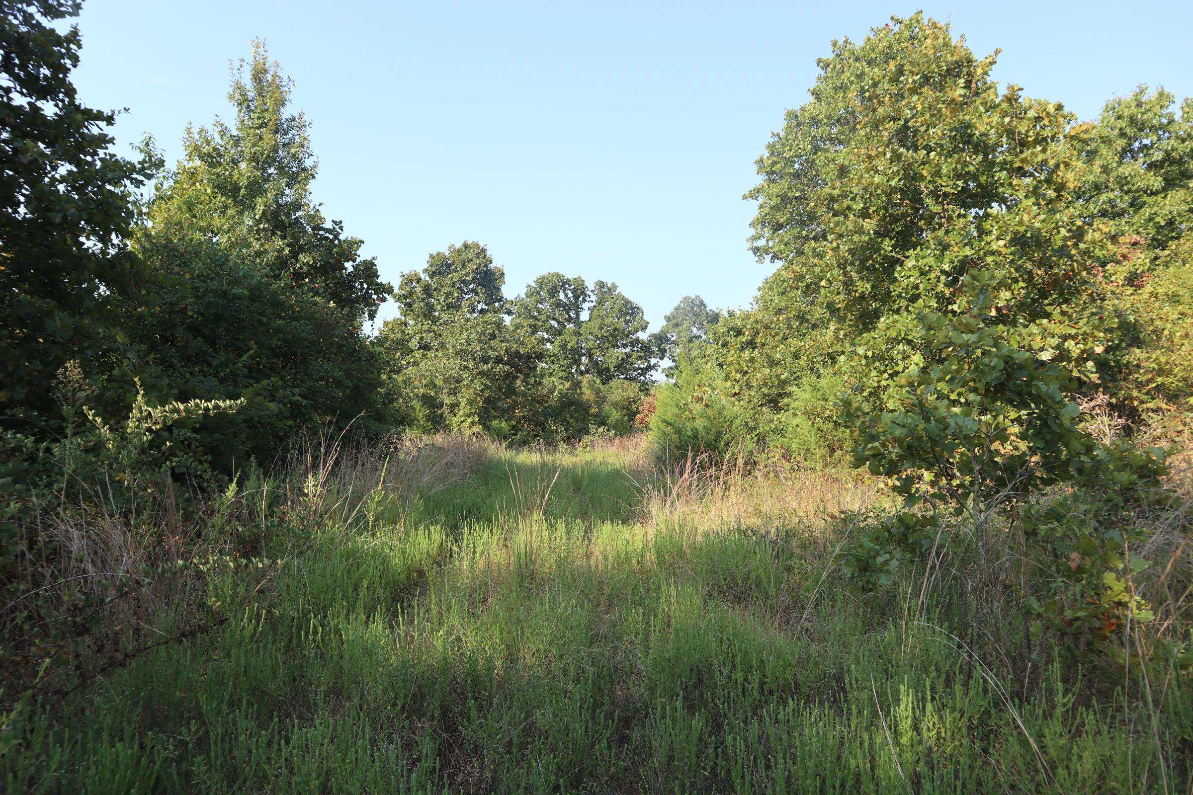 TBD Brookgrove Trl  Camp, AR