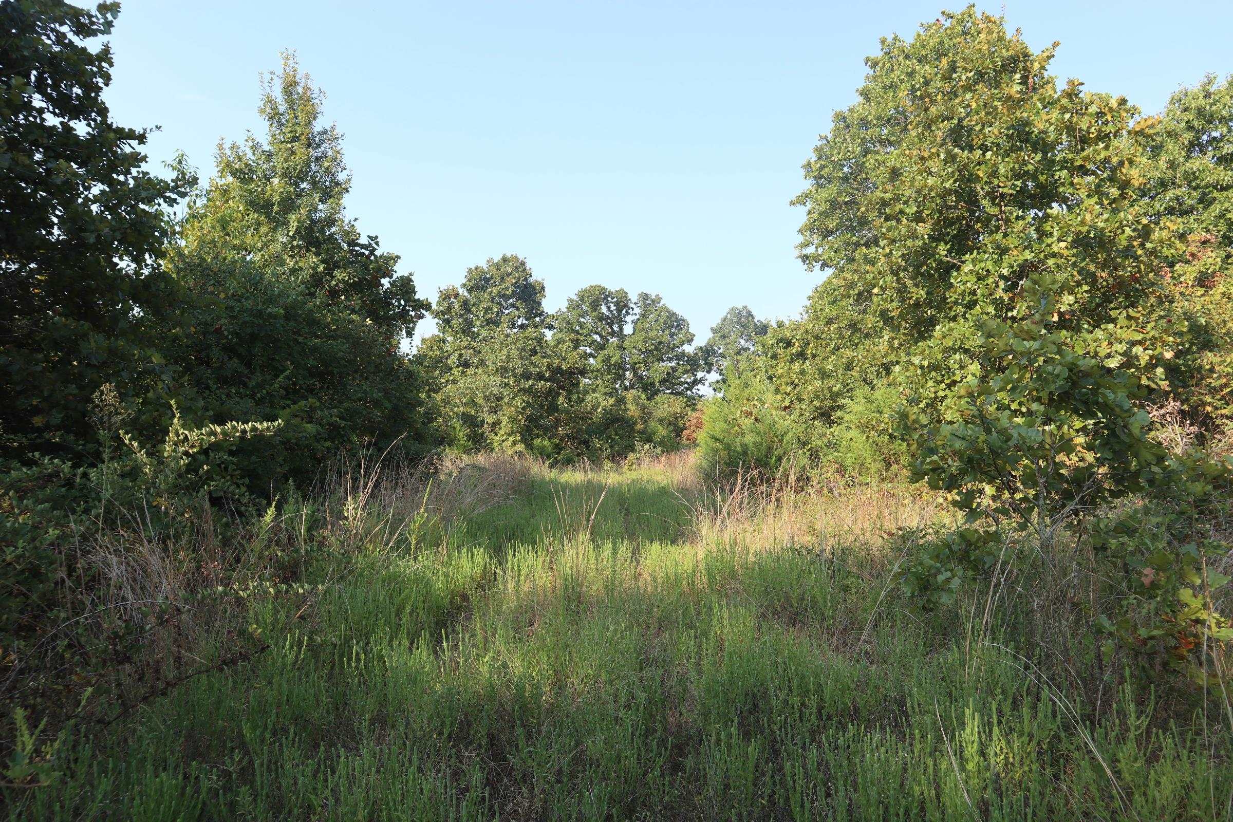 TBD Brookgrove Trl  Camp, AR