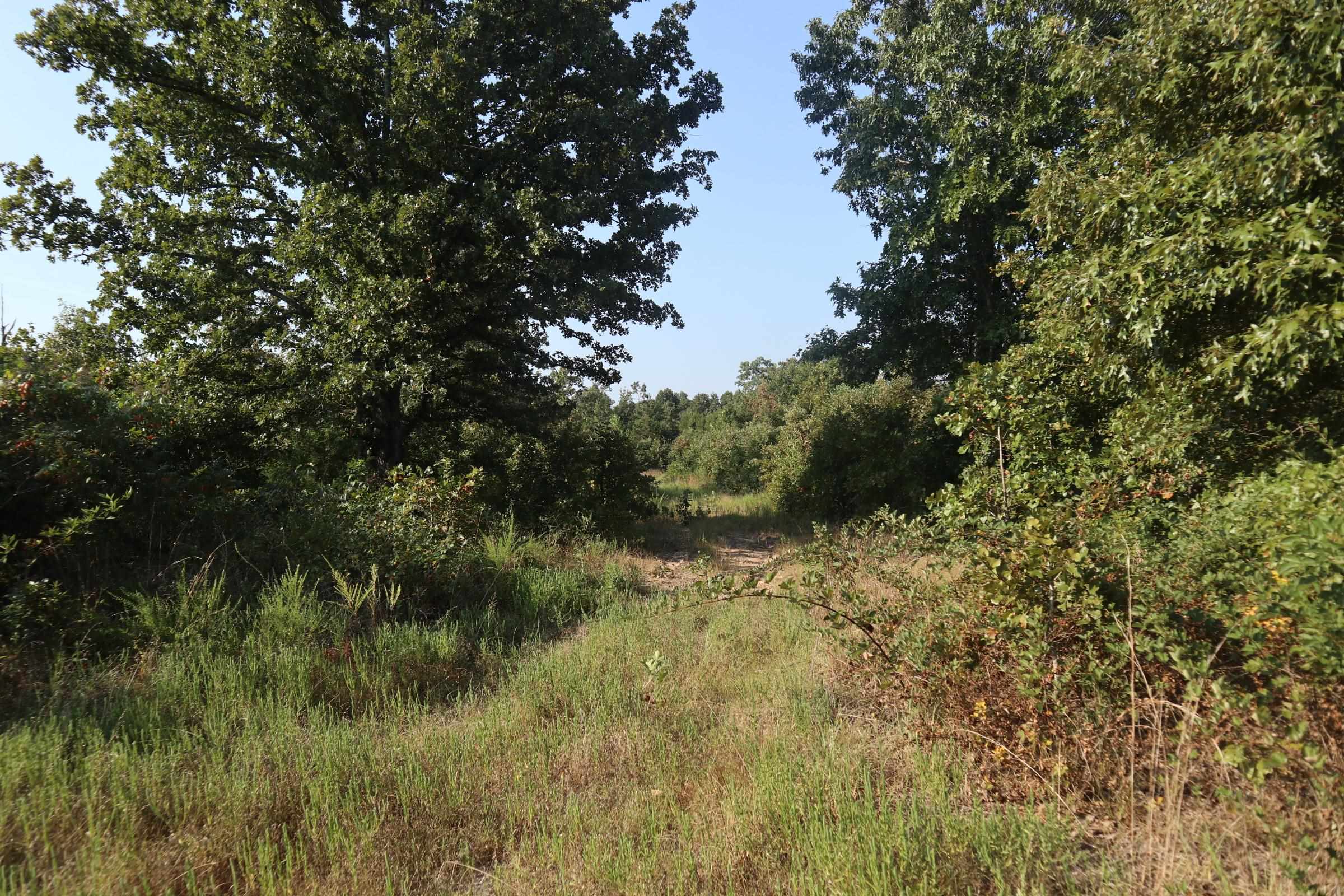 TBD Brookgrove Trl  Camp, AR