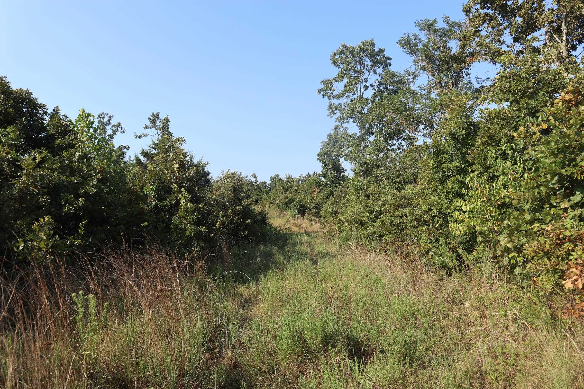 TBD Brookgrove Trl  Camp, AR