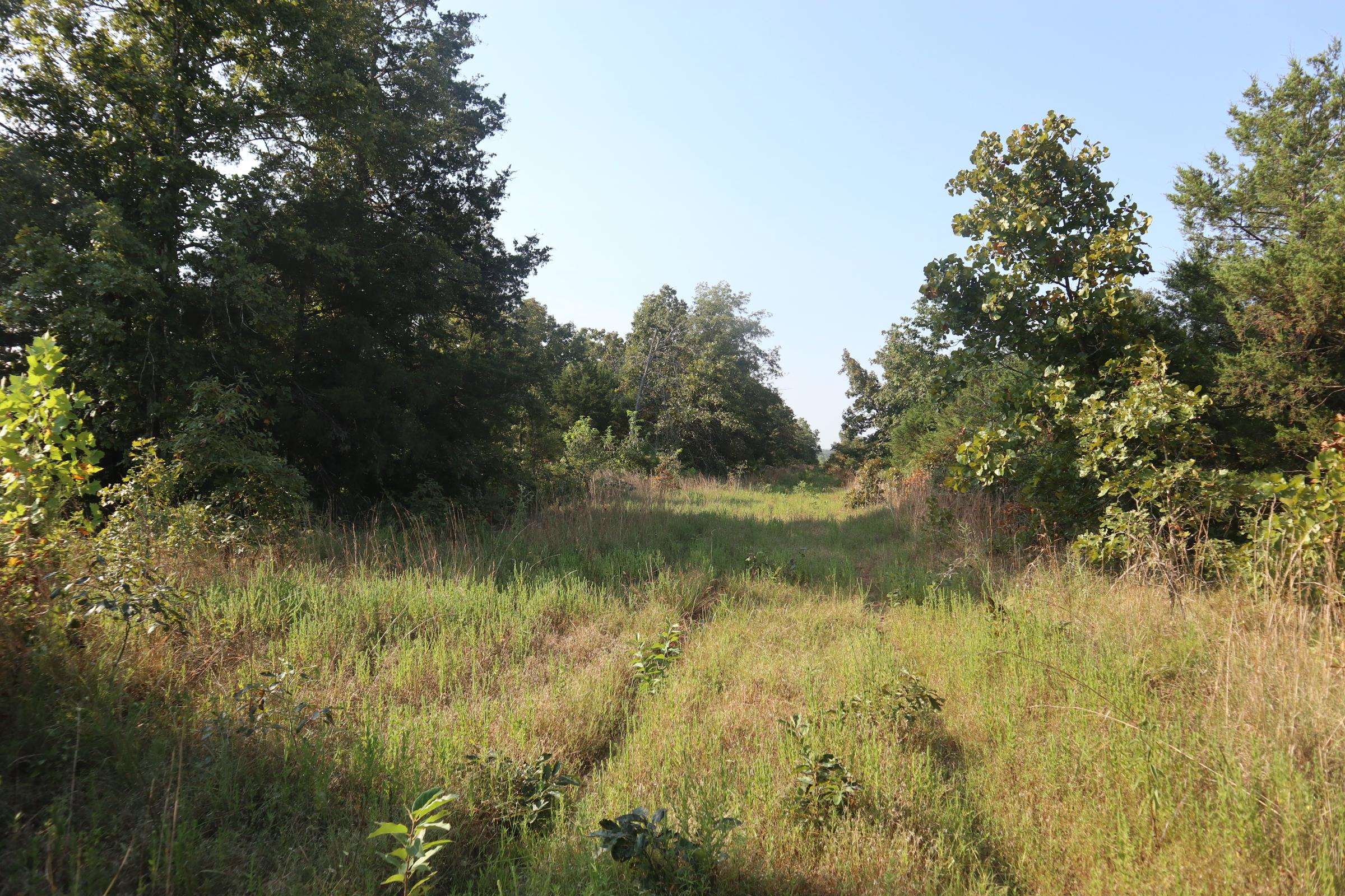 TBD Brookgrove Trl  Camp, AR