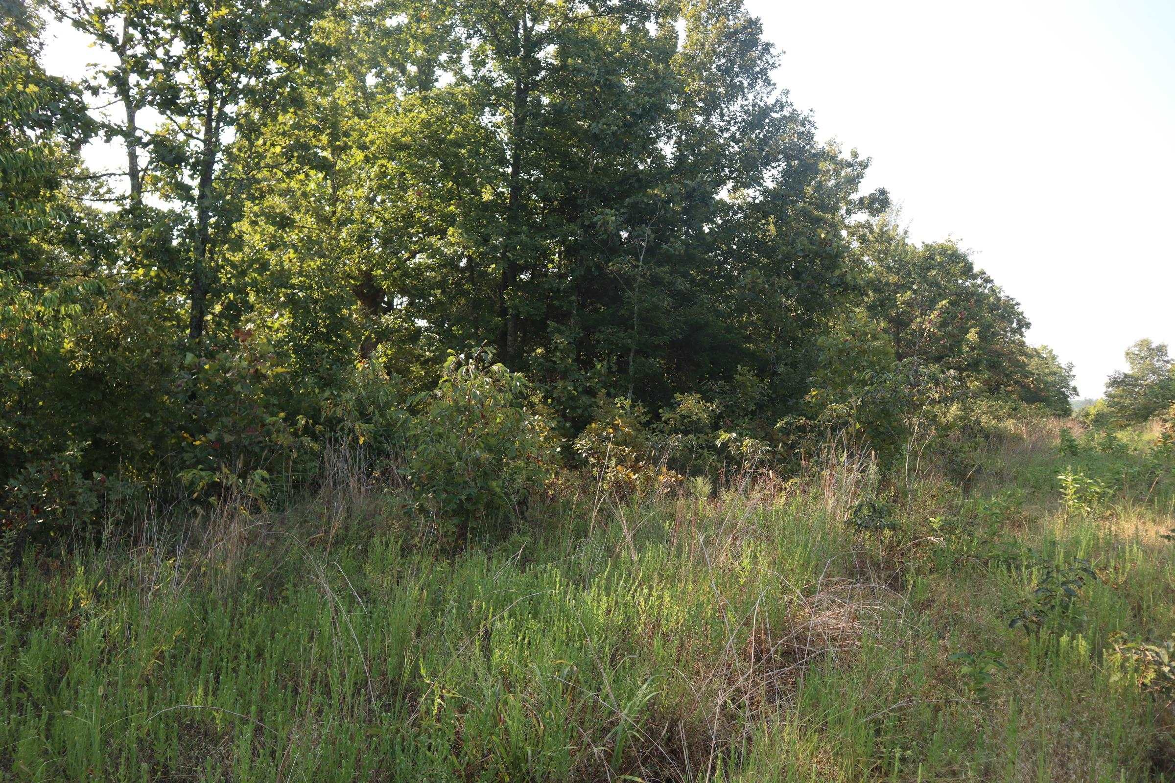 TBD Brookgrove Trl  Camp, AR