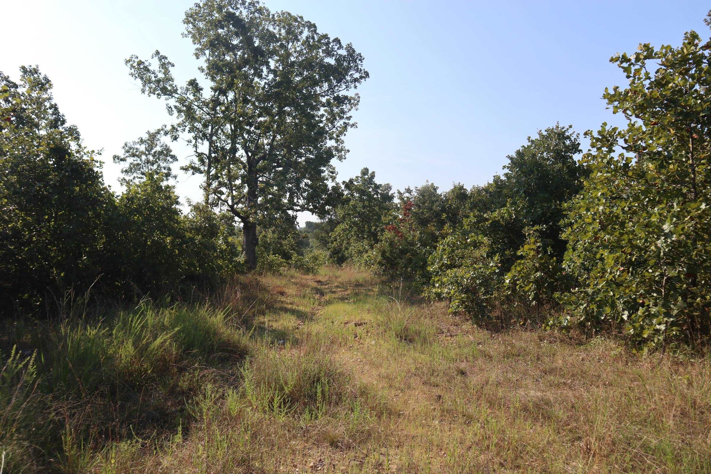 TBD Brookgrove Trl  Camp, AR
