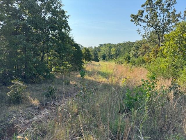 TBD Brookgrove Trl  Camp, AR