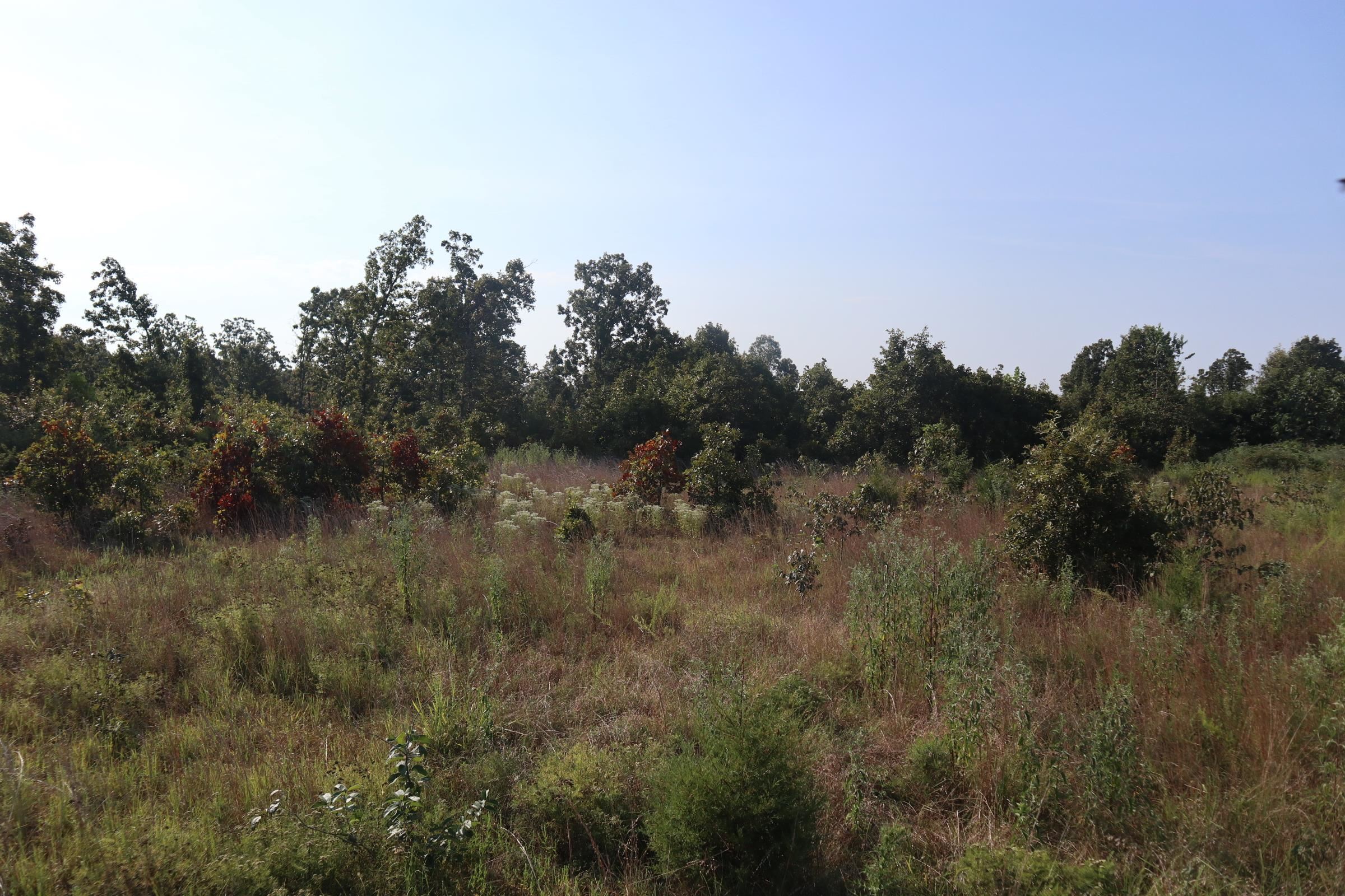 TBD Brookgrove Trl  Camp, AR