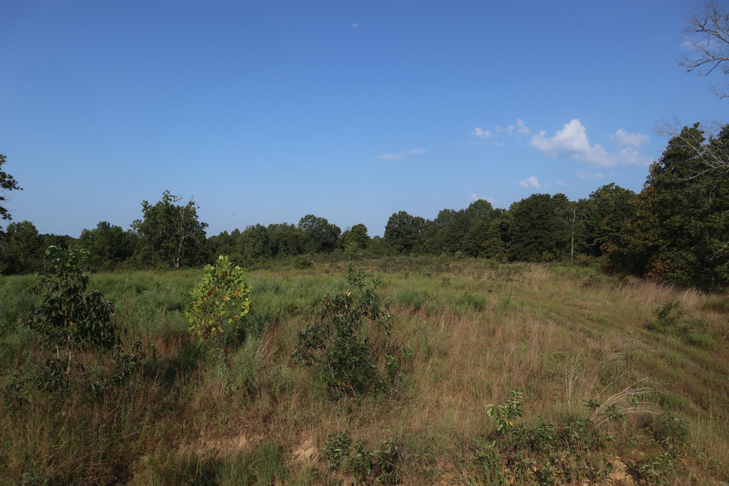 TBD Brookgrove Trl  Camp, AR