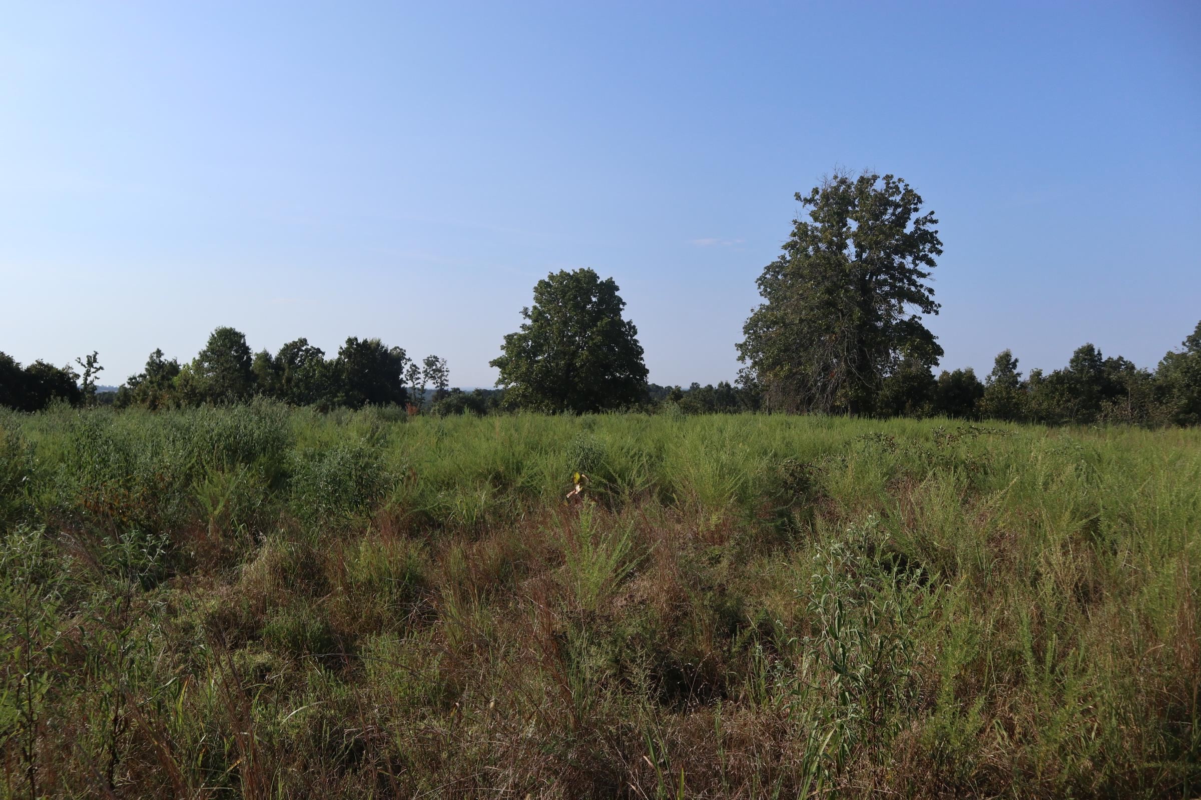 TBD Brookgrove Trl  Camp, AR
