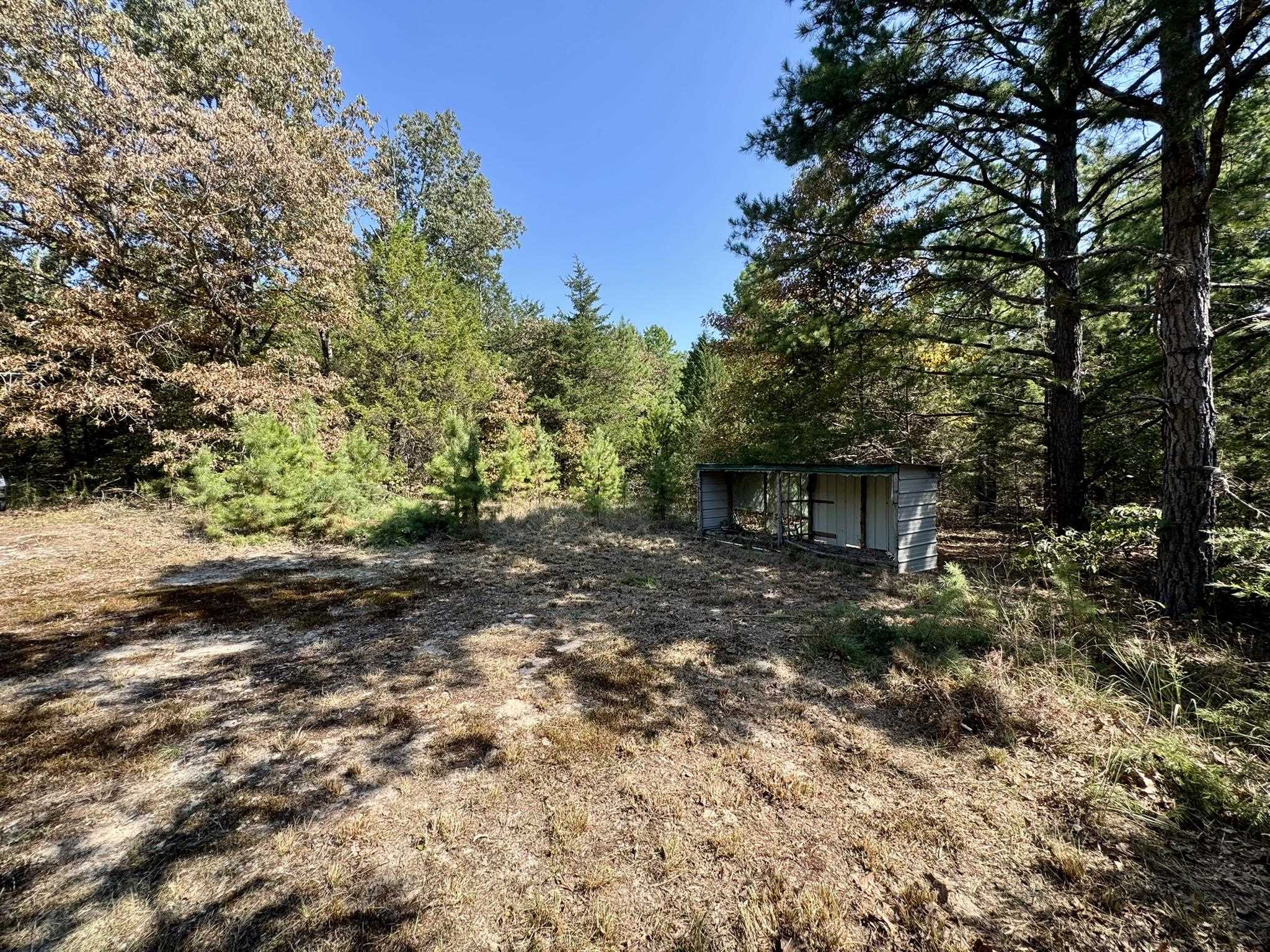 800 Foster Drive  Violet Hill, AR